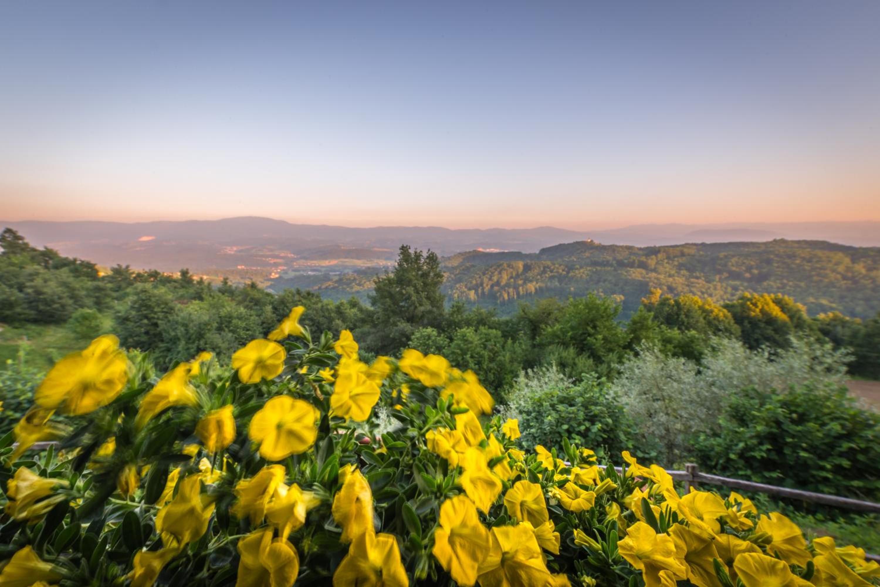 Vineyard Cottage Skatlar