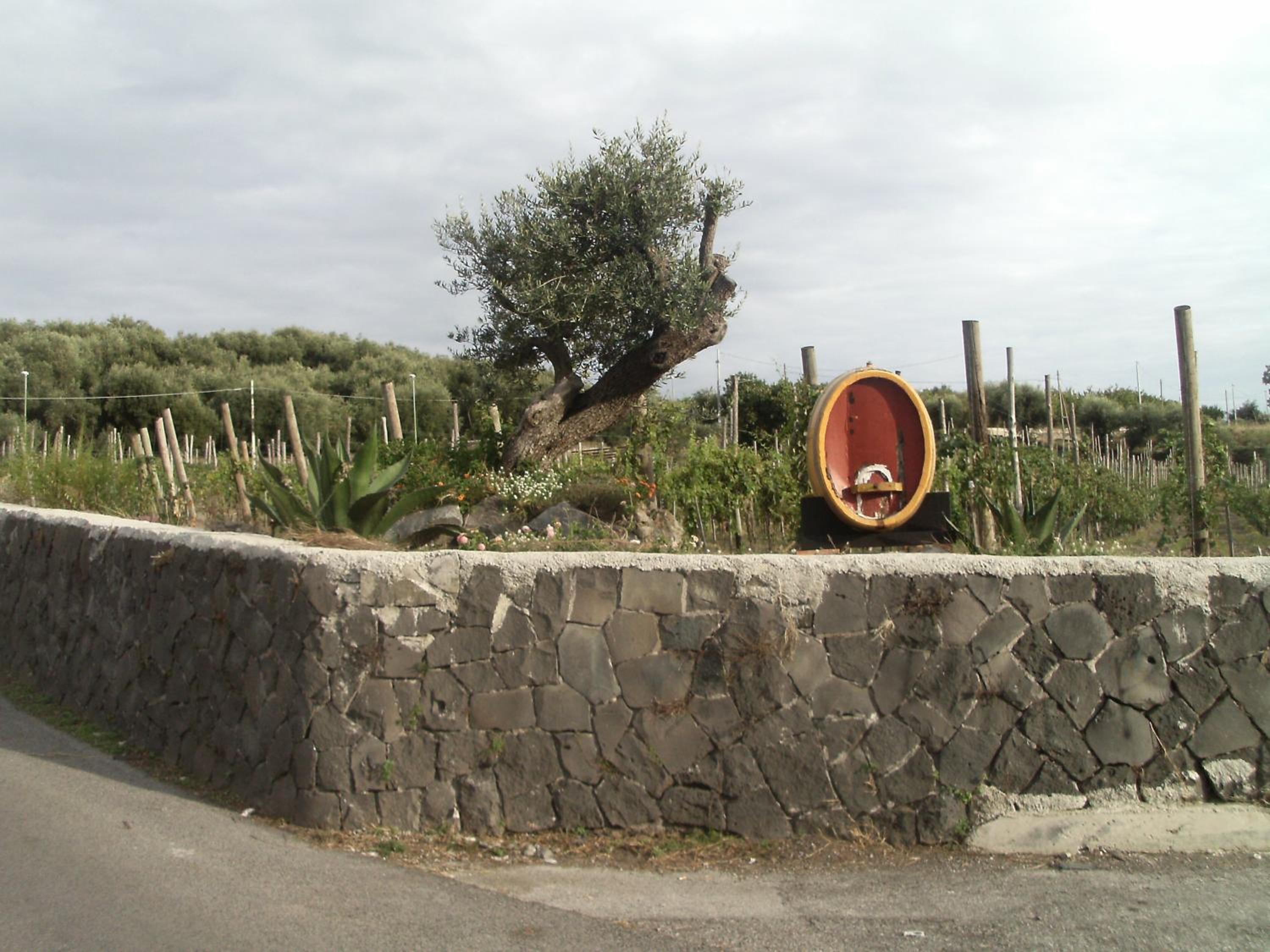 Photo 30