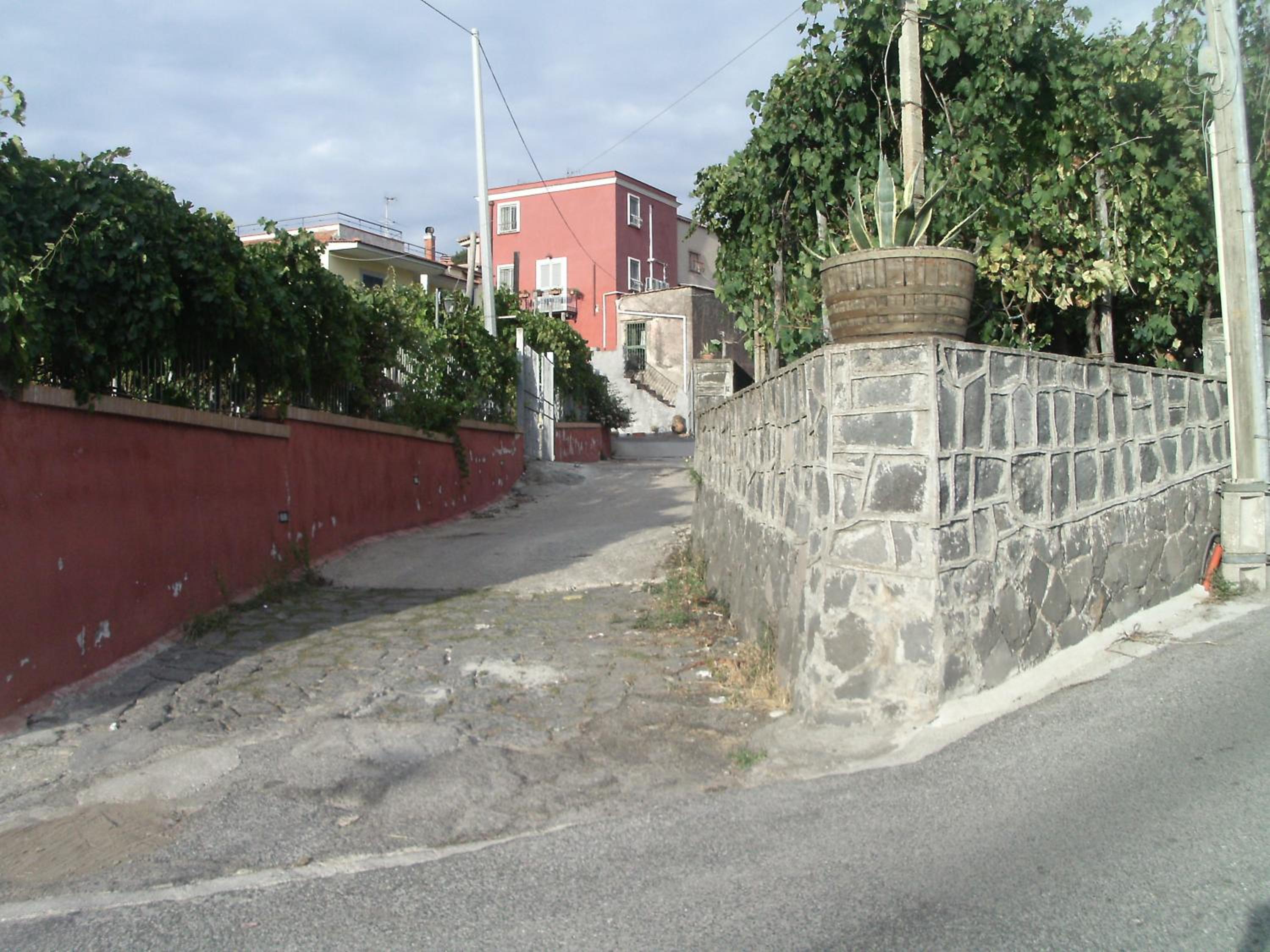 Photo 39