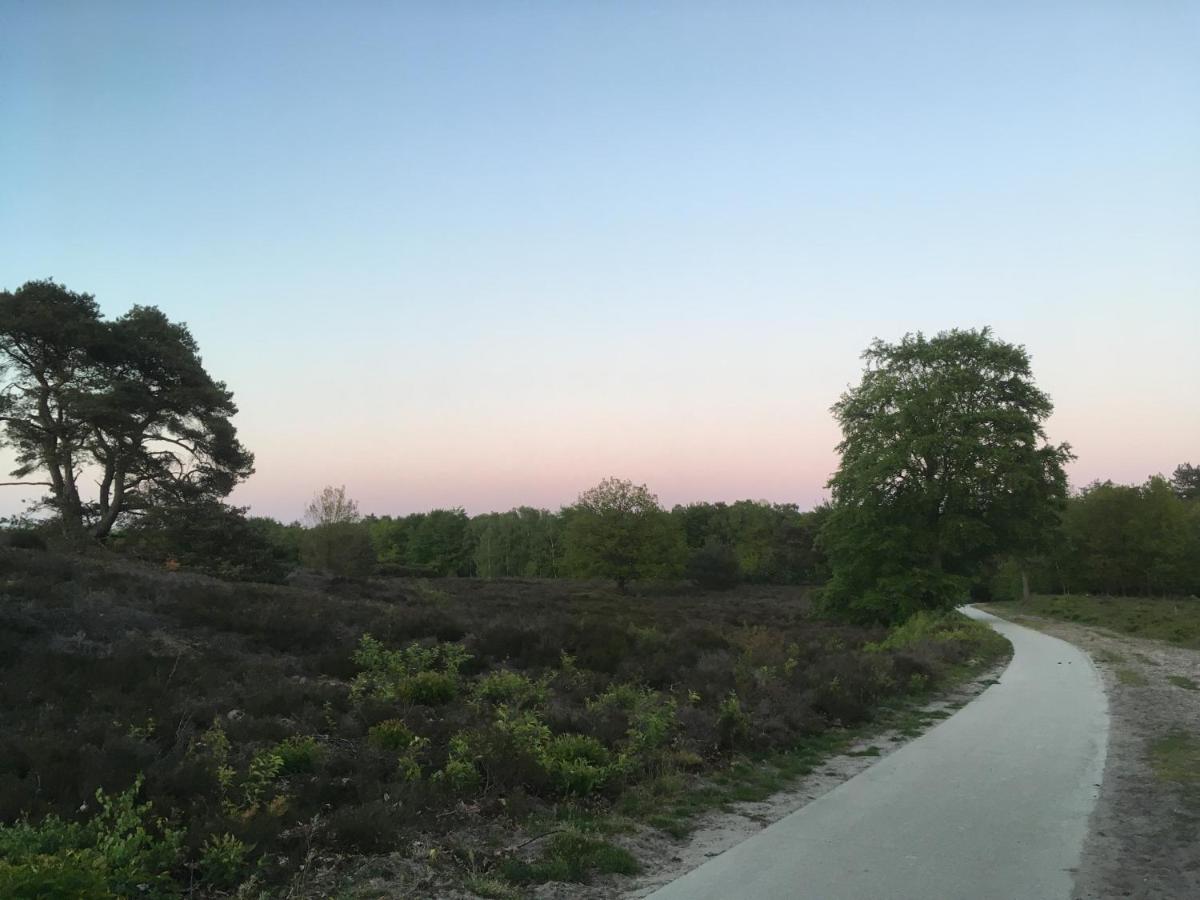 Photo 33