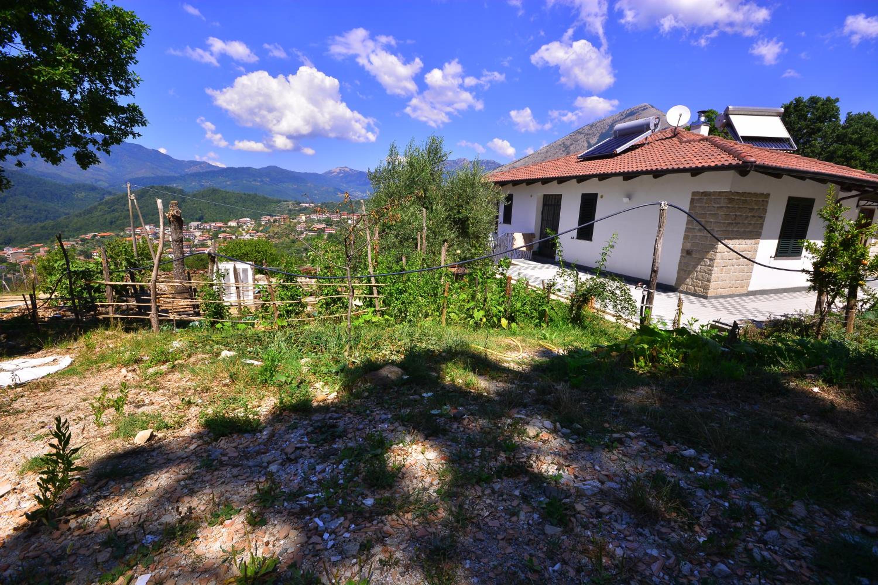 Photo 32