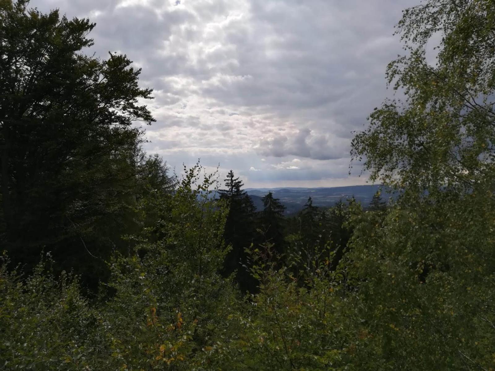 Novohradské hory - pronájem na samotě u lesa