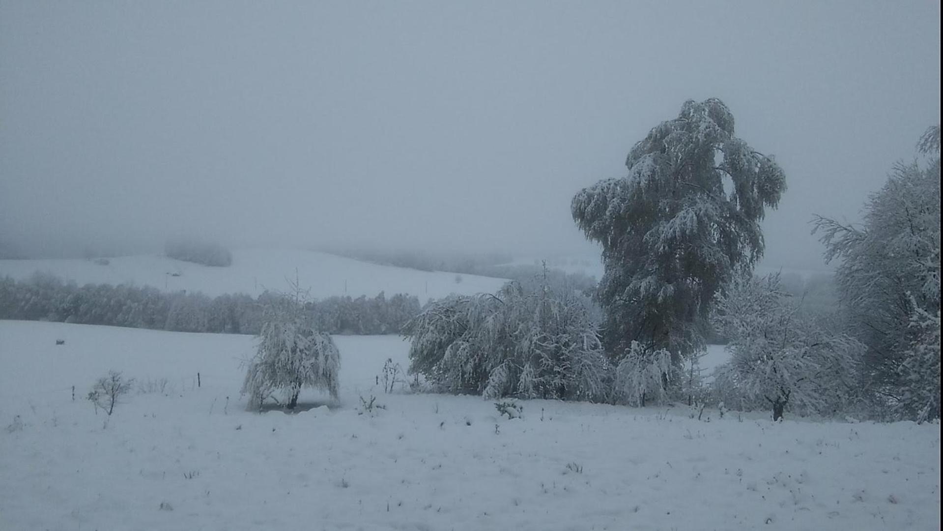 Novohradské hory - pronájem na samotě u lesa