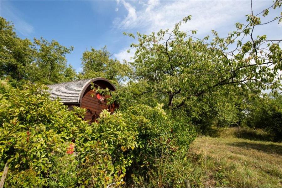 Le Chalet du Chemin et sa Roulotte view 4