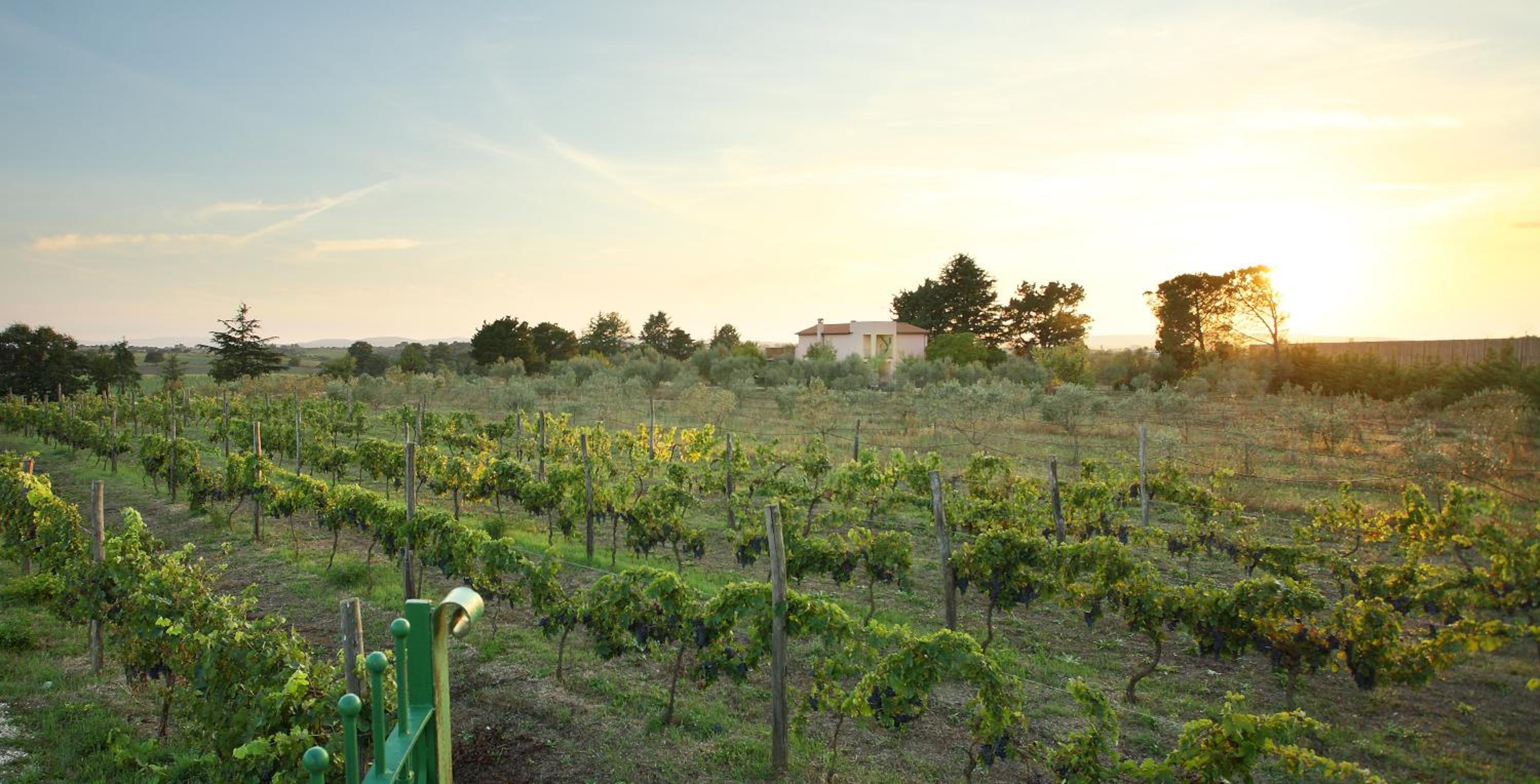 Agriturismo Il Marrugio