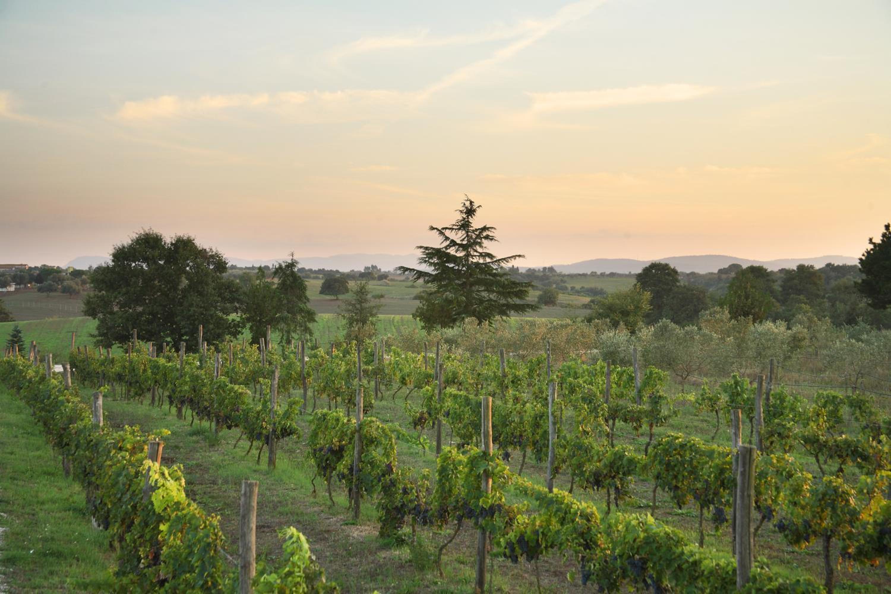 Agriturismo Il Marrugio