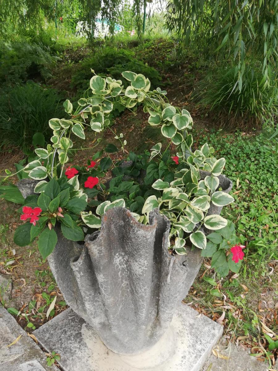 Photo 27