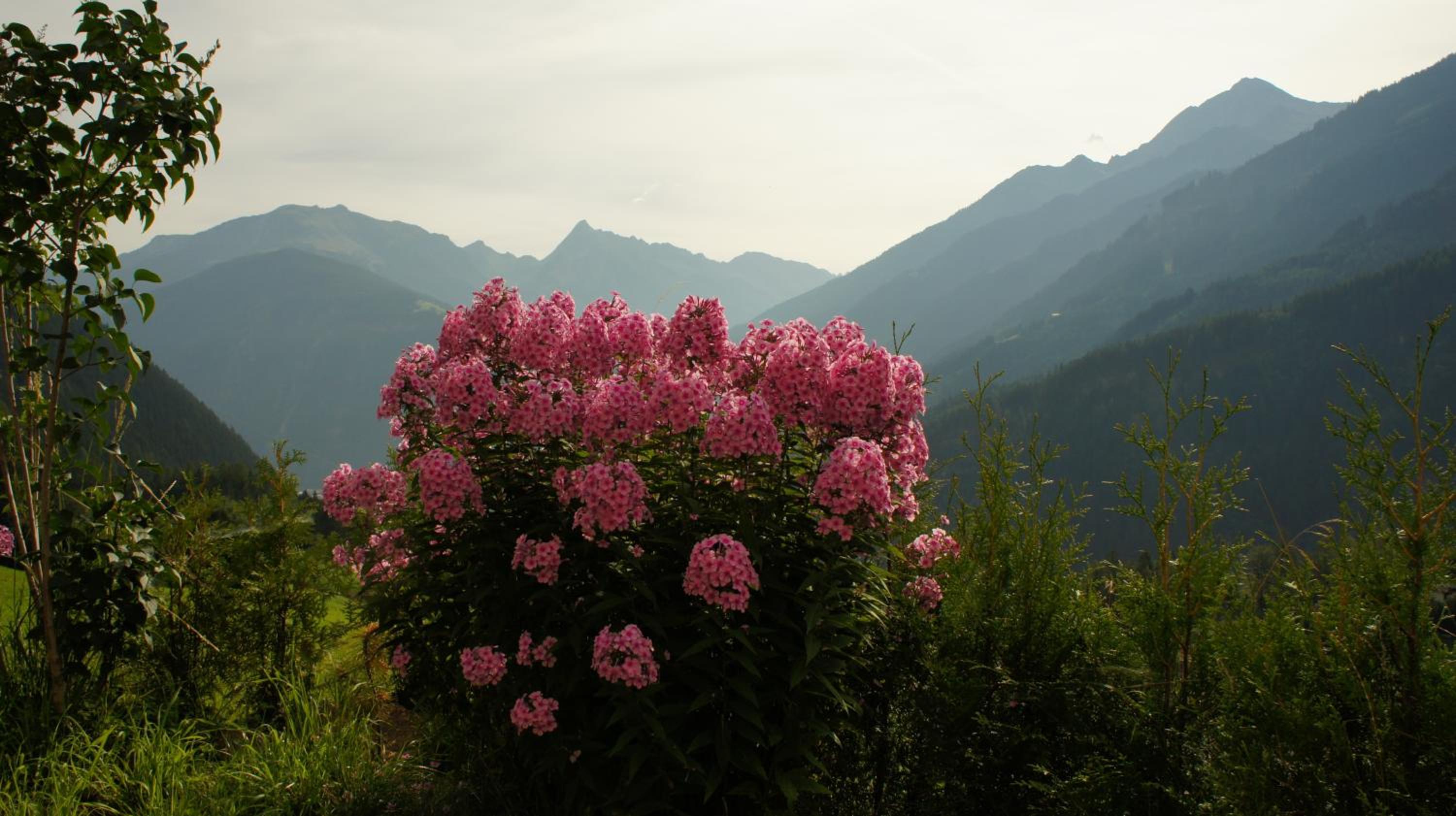 Bergblick