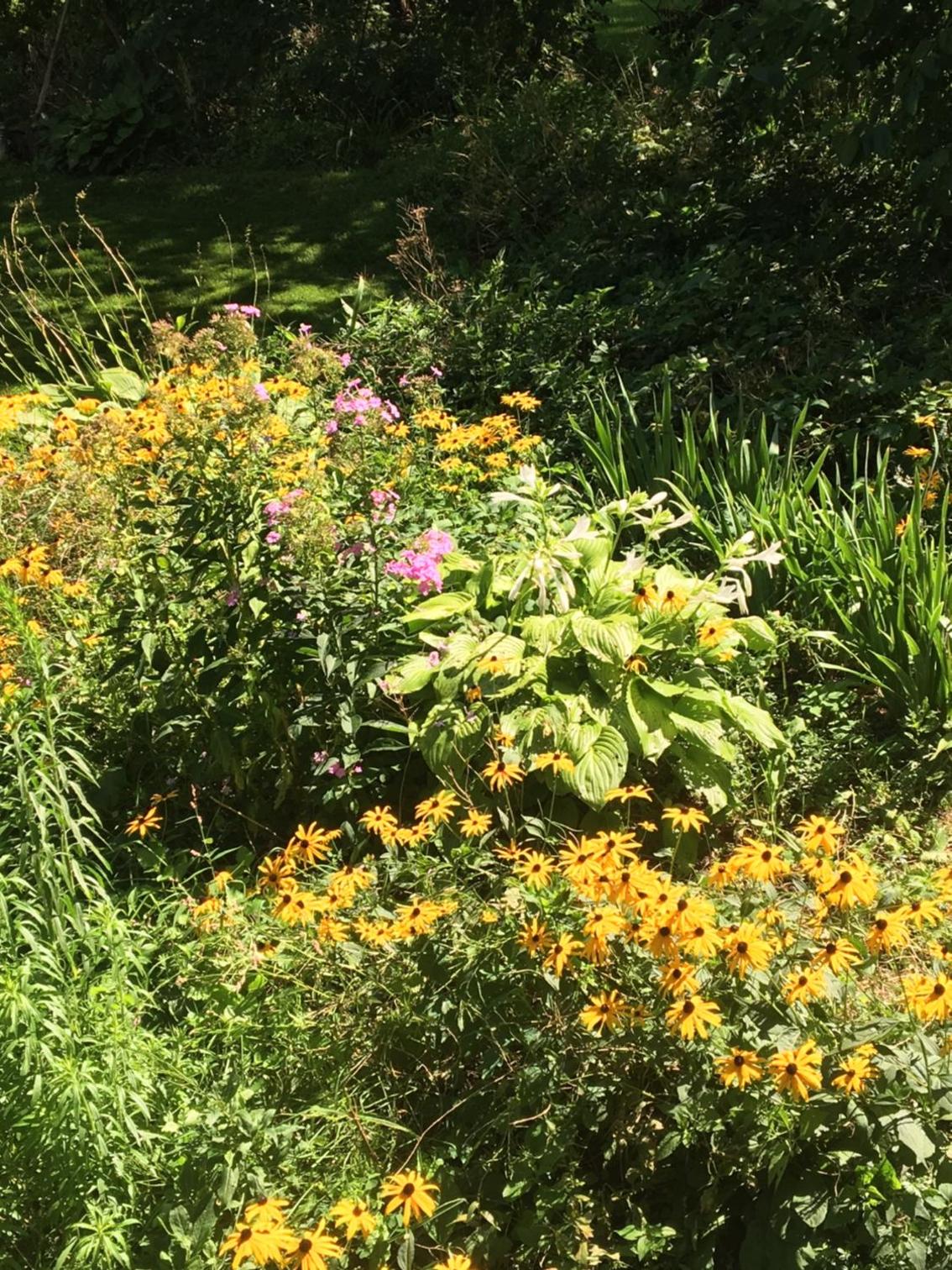 Photo 28