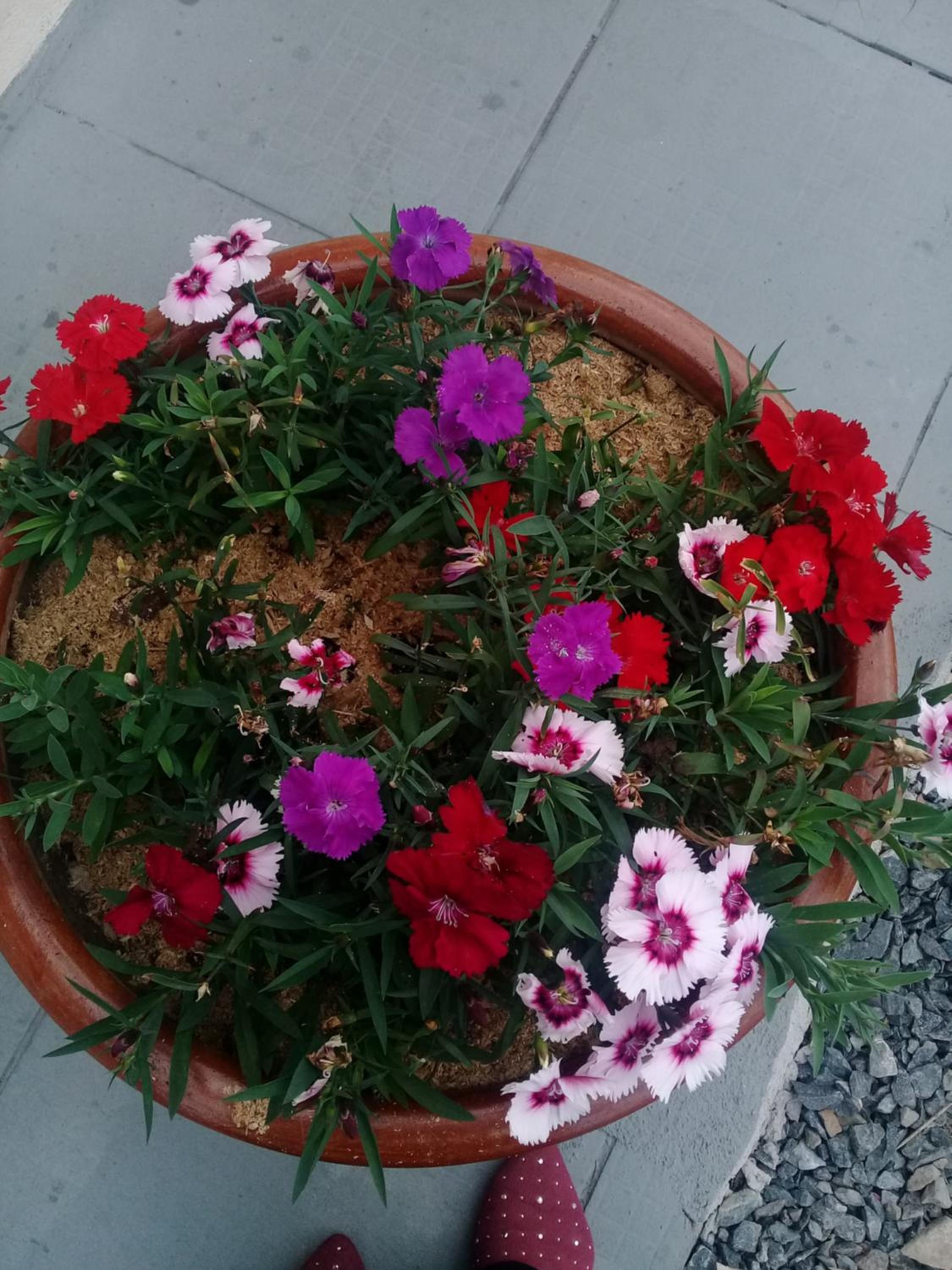 Hostel Cidade das Flores 2