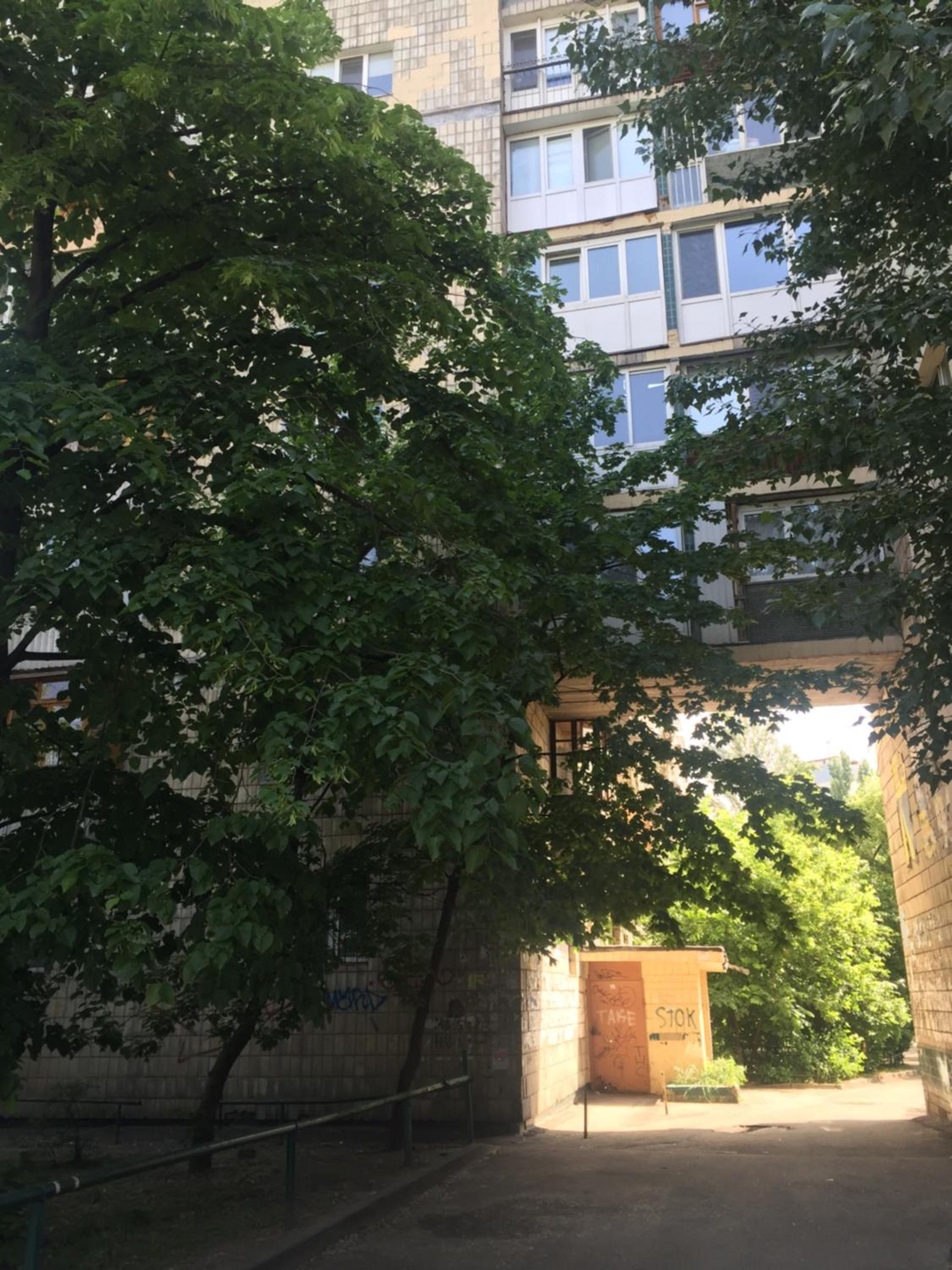 Photo 28