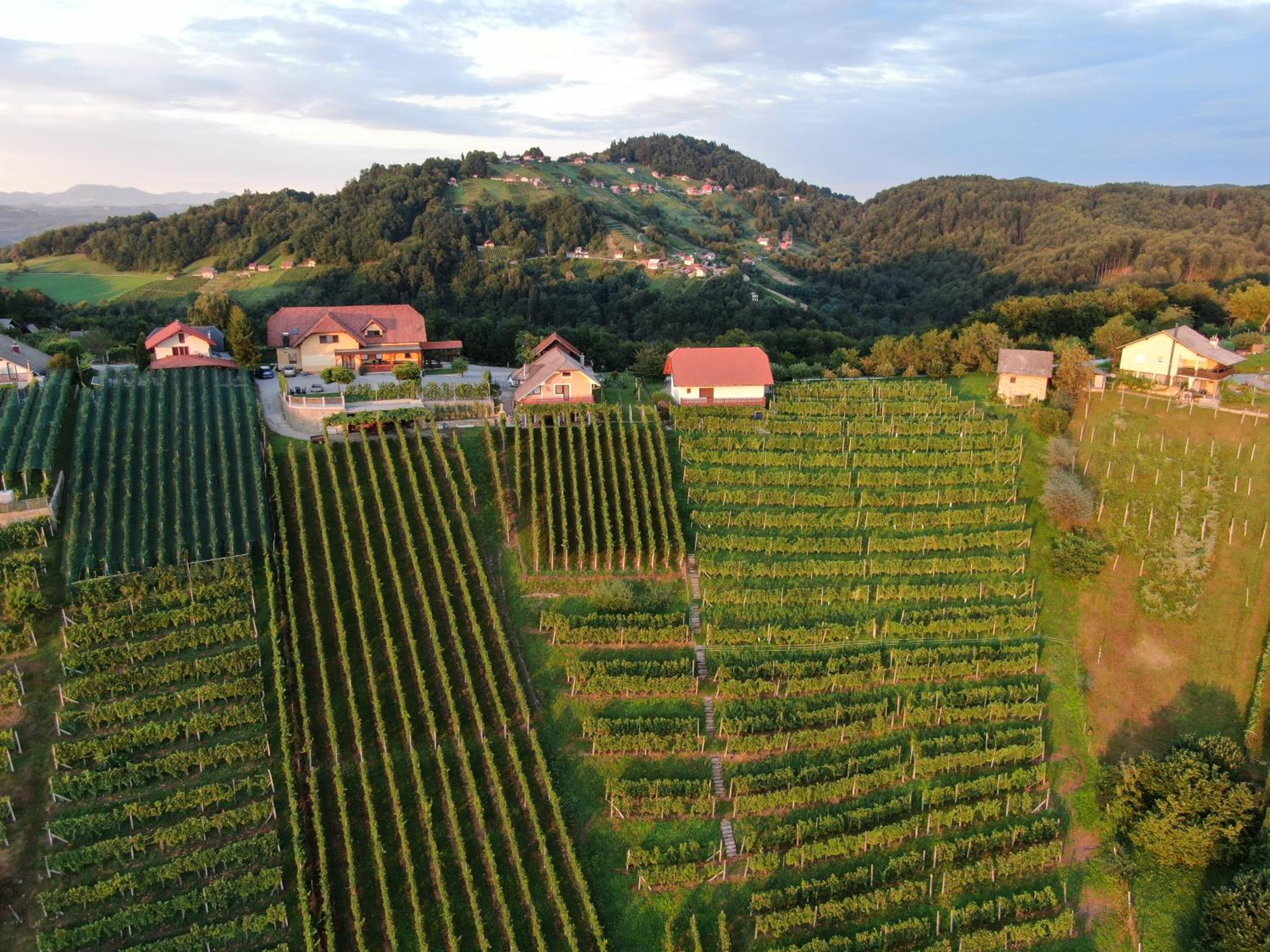 Vineyard Cottage Urban