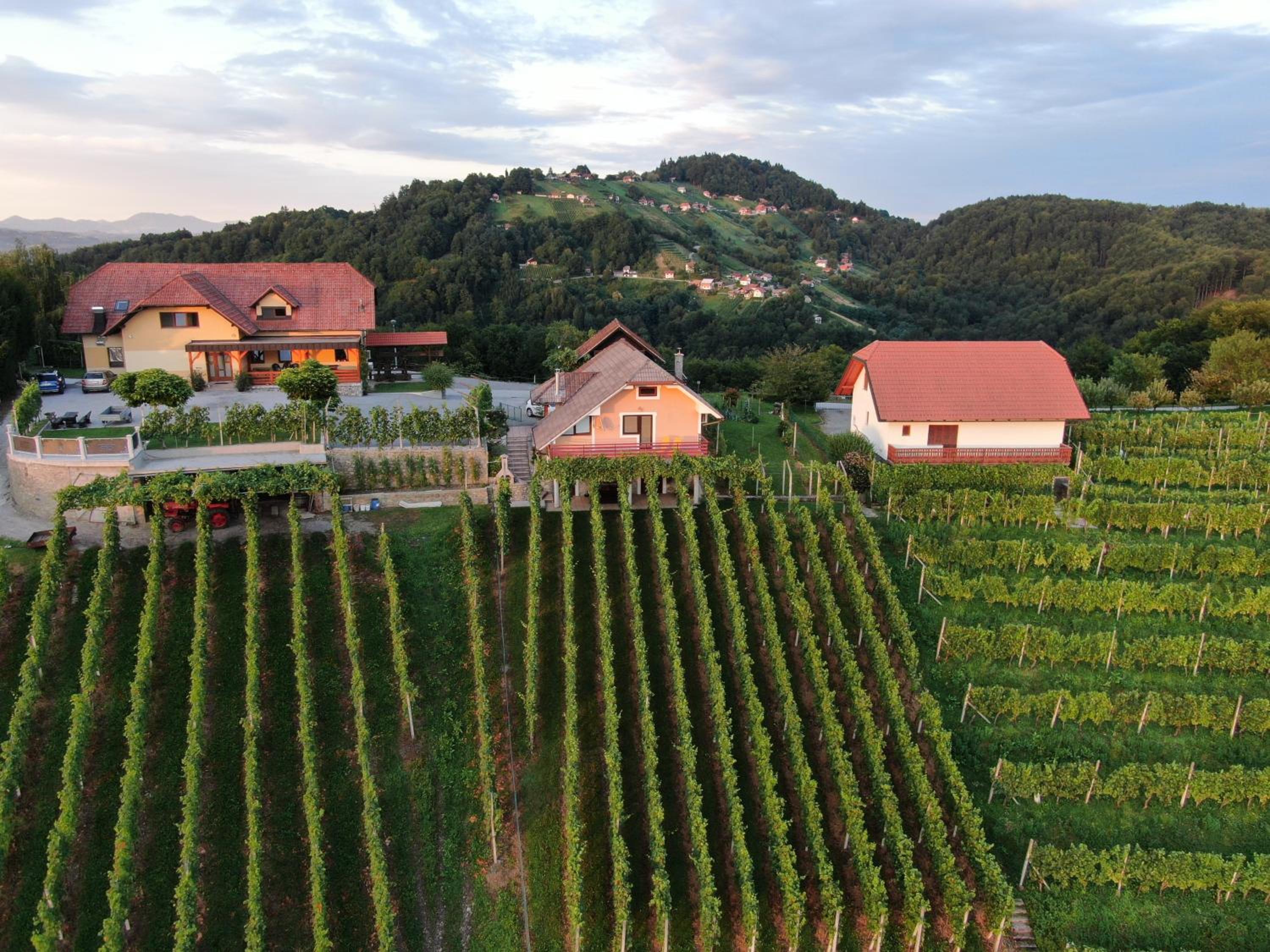 Vineyard Cottage Urban