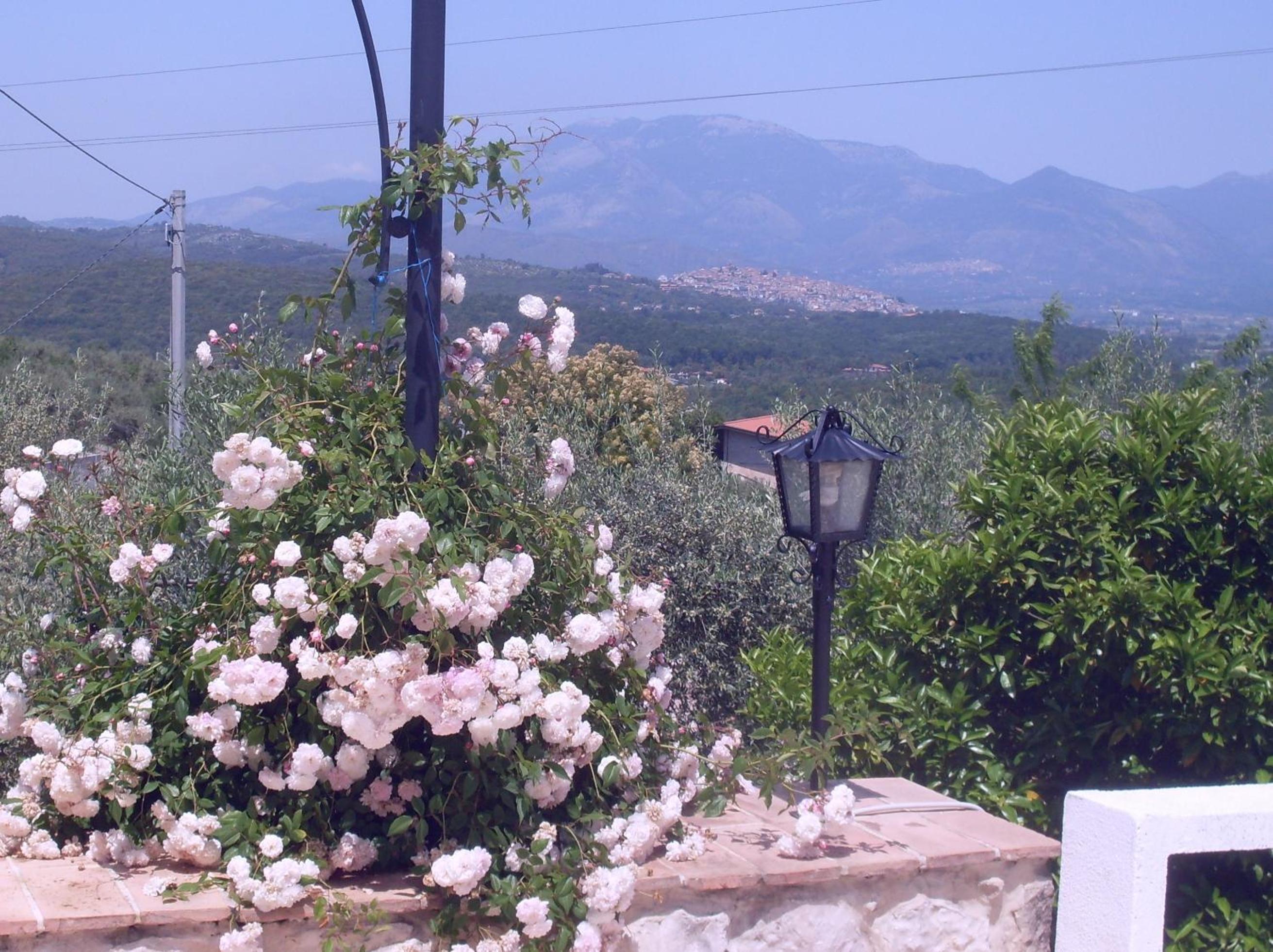 Photo 40