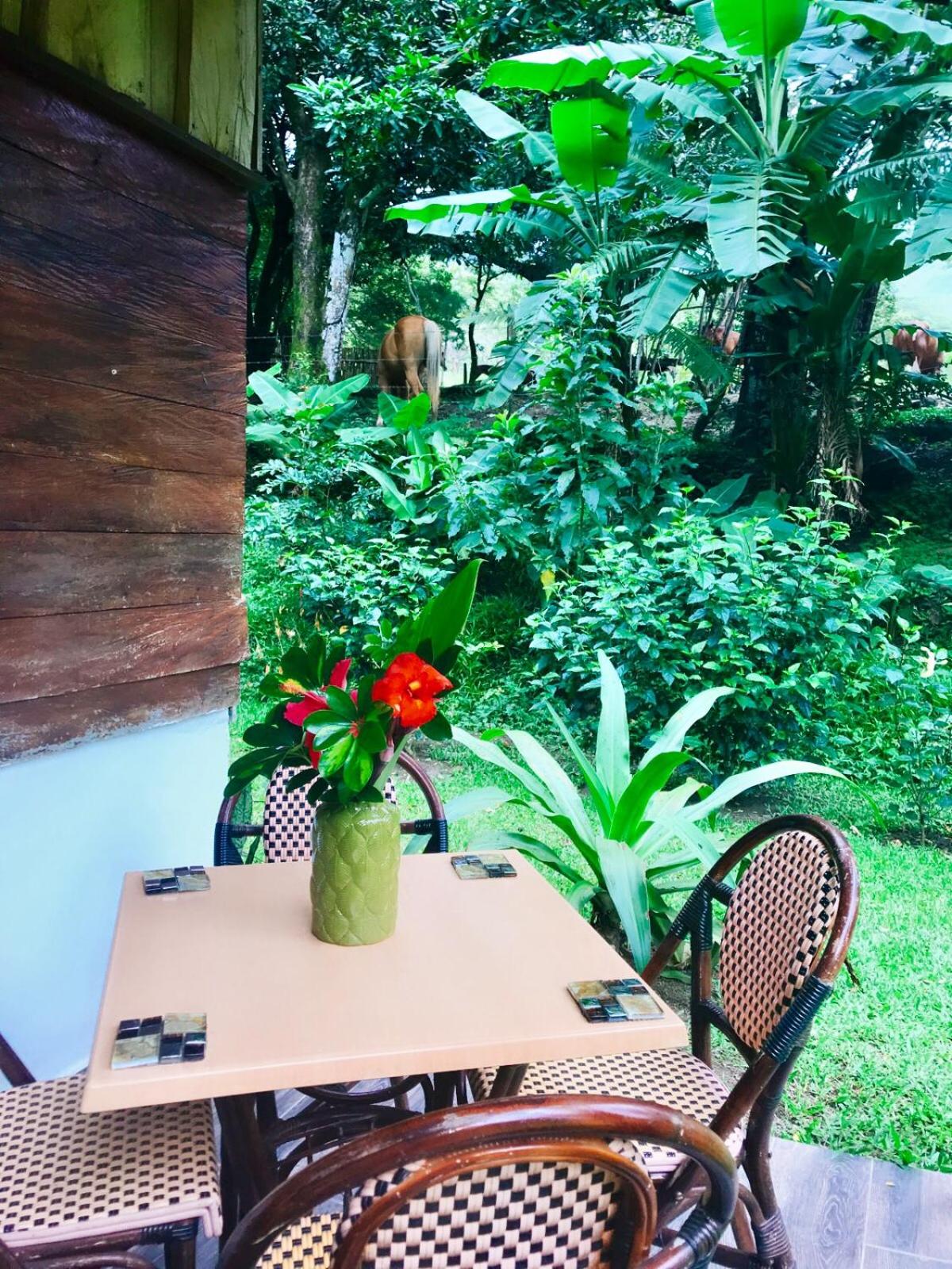 Hacienda Sassenberg