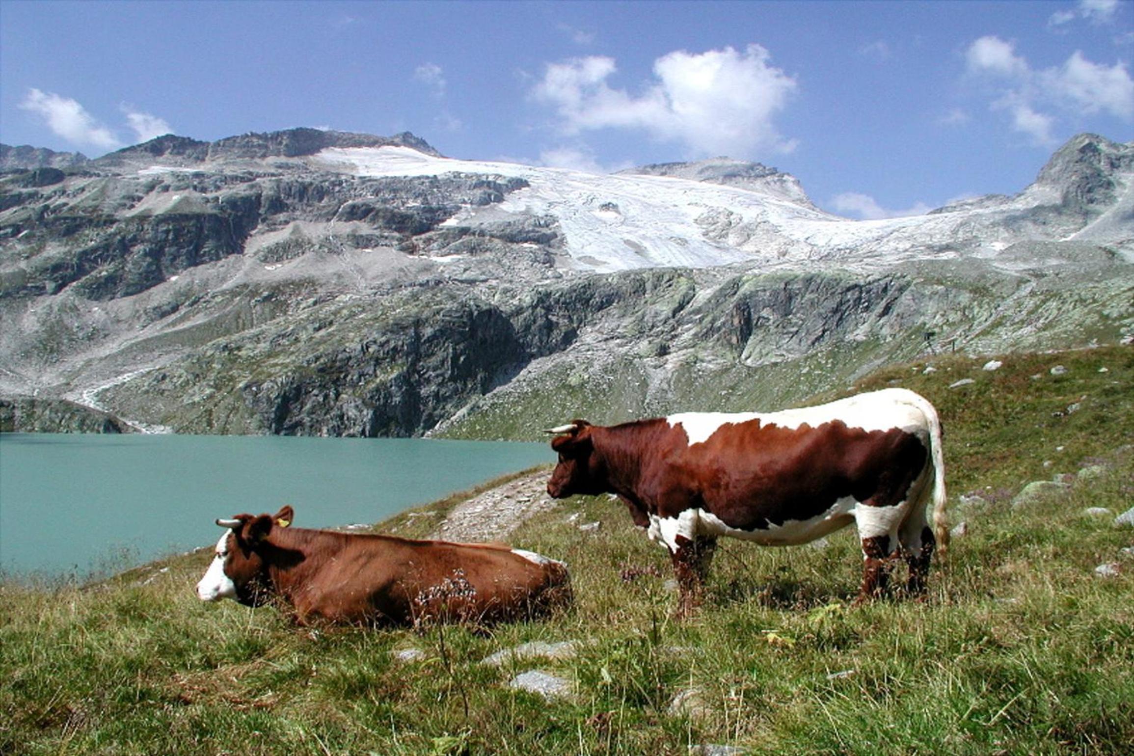 Pension Stubachblick