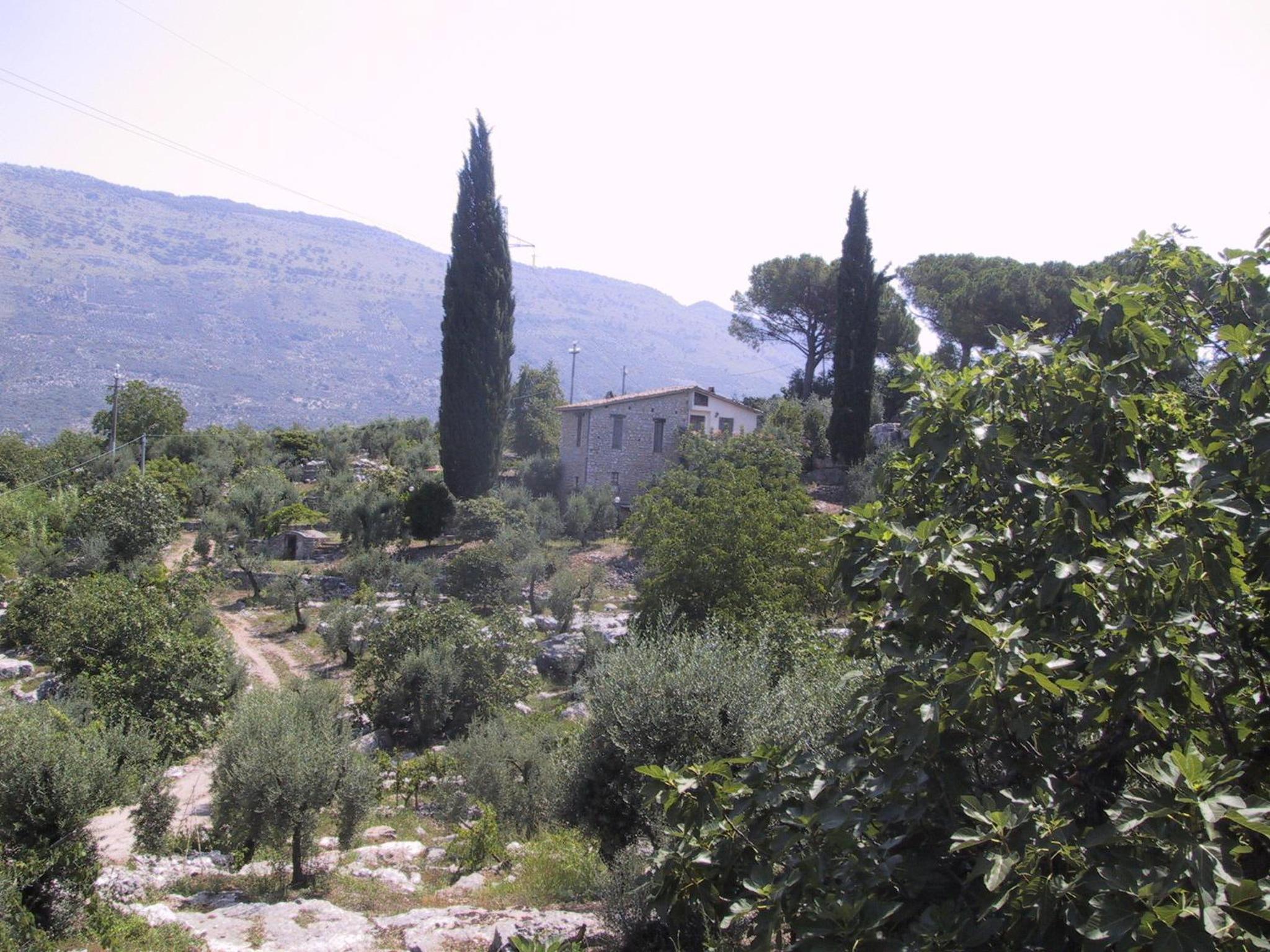 Photo 36