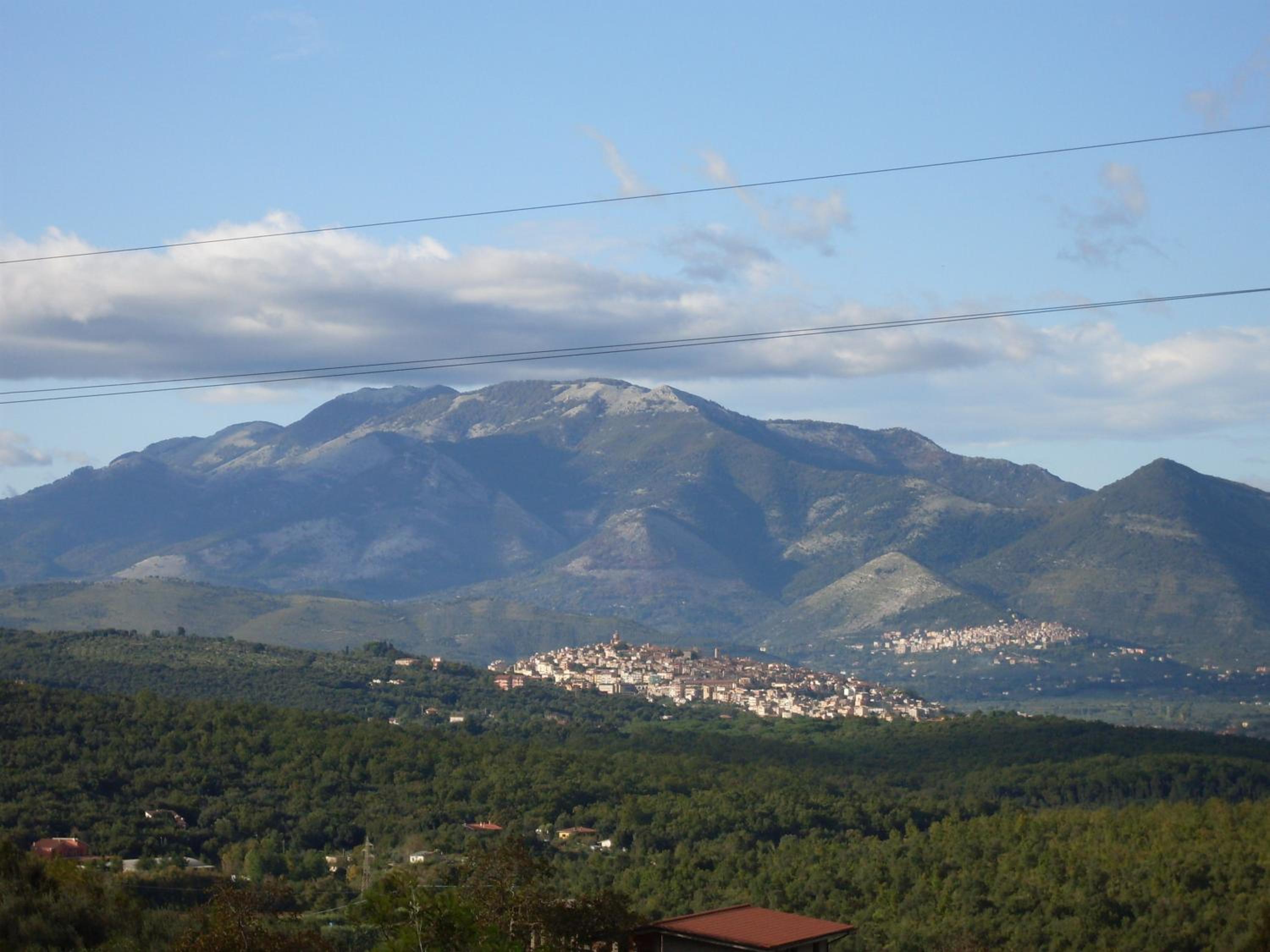 Photo 33