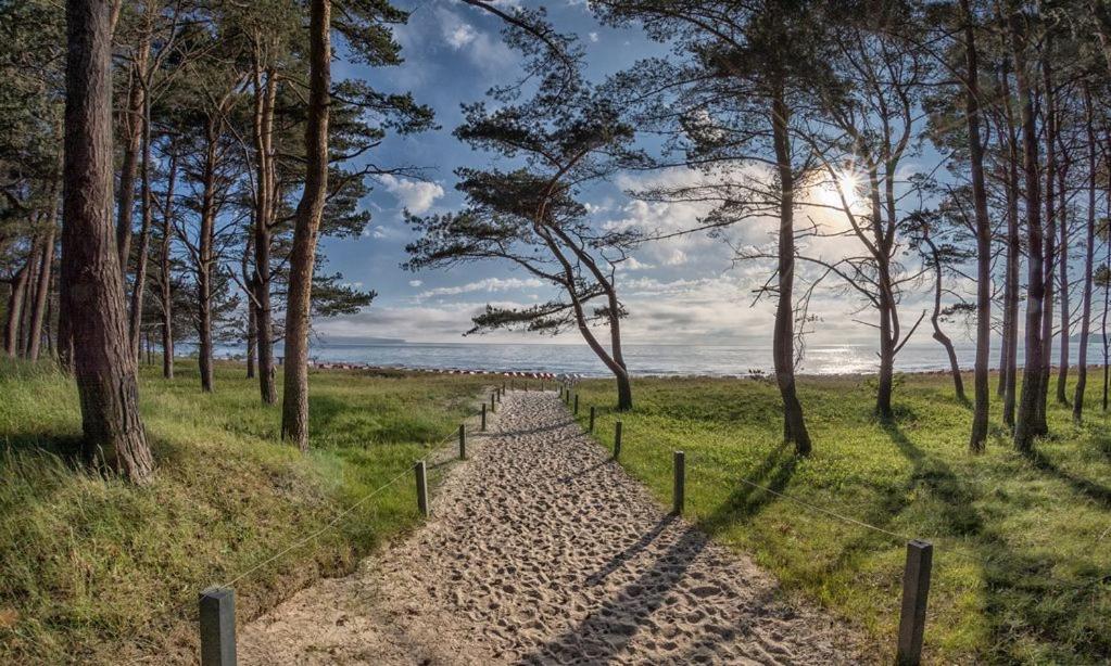 Direkt am Strand mit Meerblick und Sauna - FeWo Strandidyll
