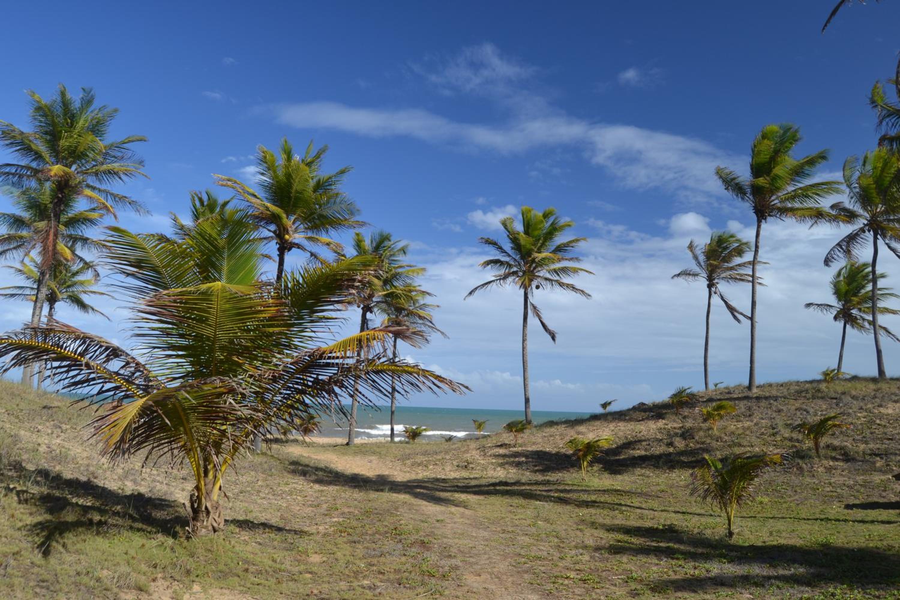 Mansão na praia 5 suites em Sitio do Conde Aluguel Temporada