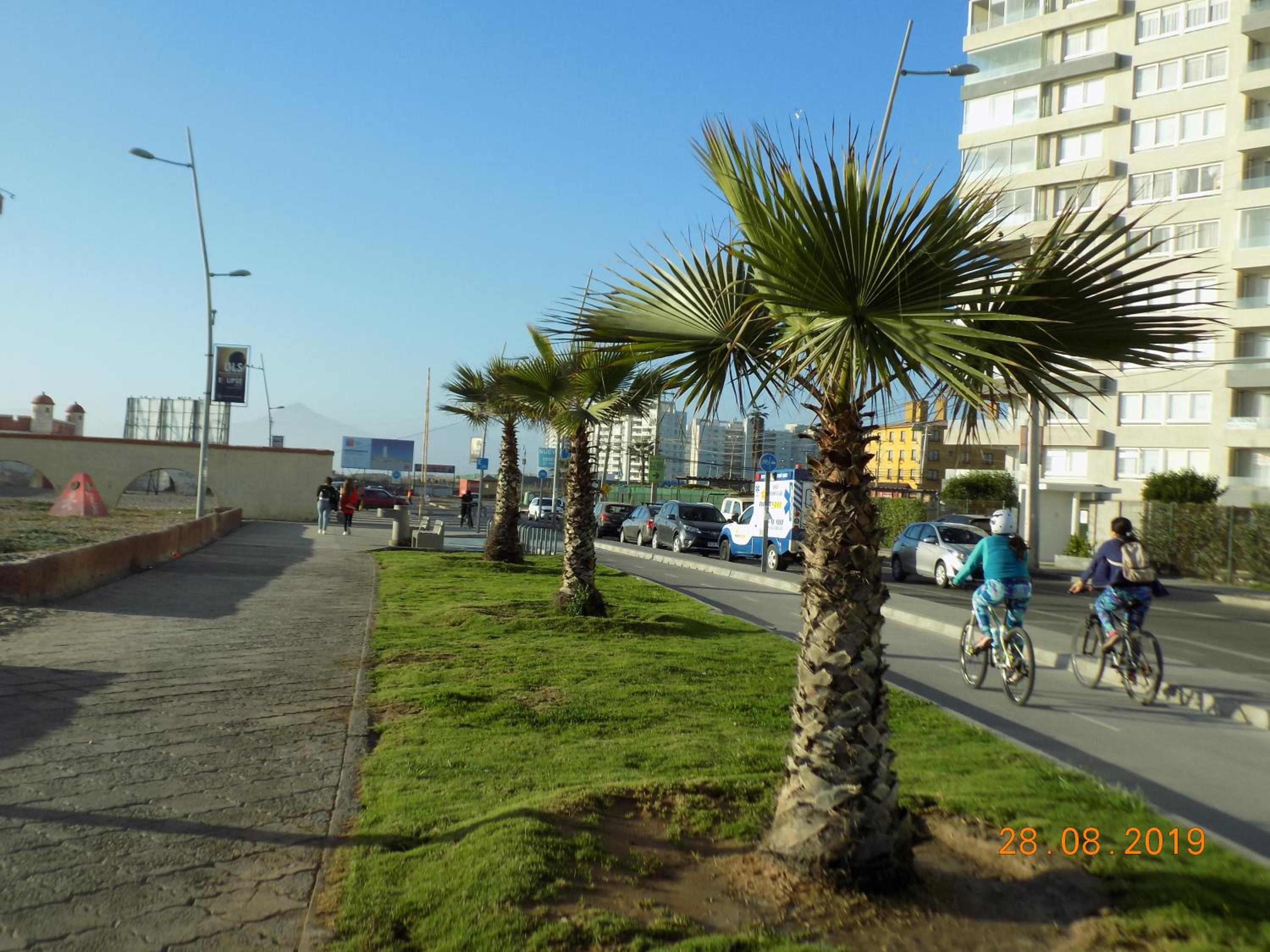 Hermoso departamento a pasos de avenida del mar