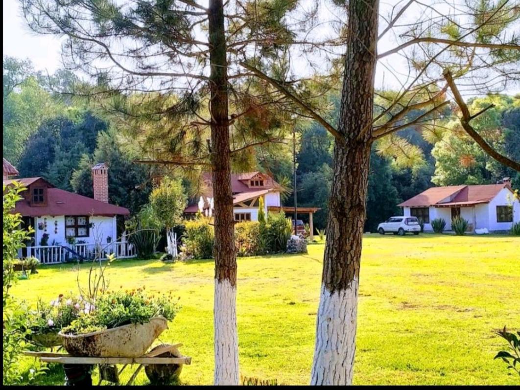 Hotel Cabañas los cactus 2 - Image 1