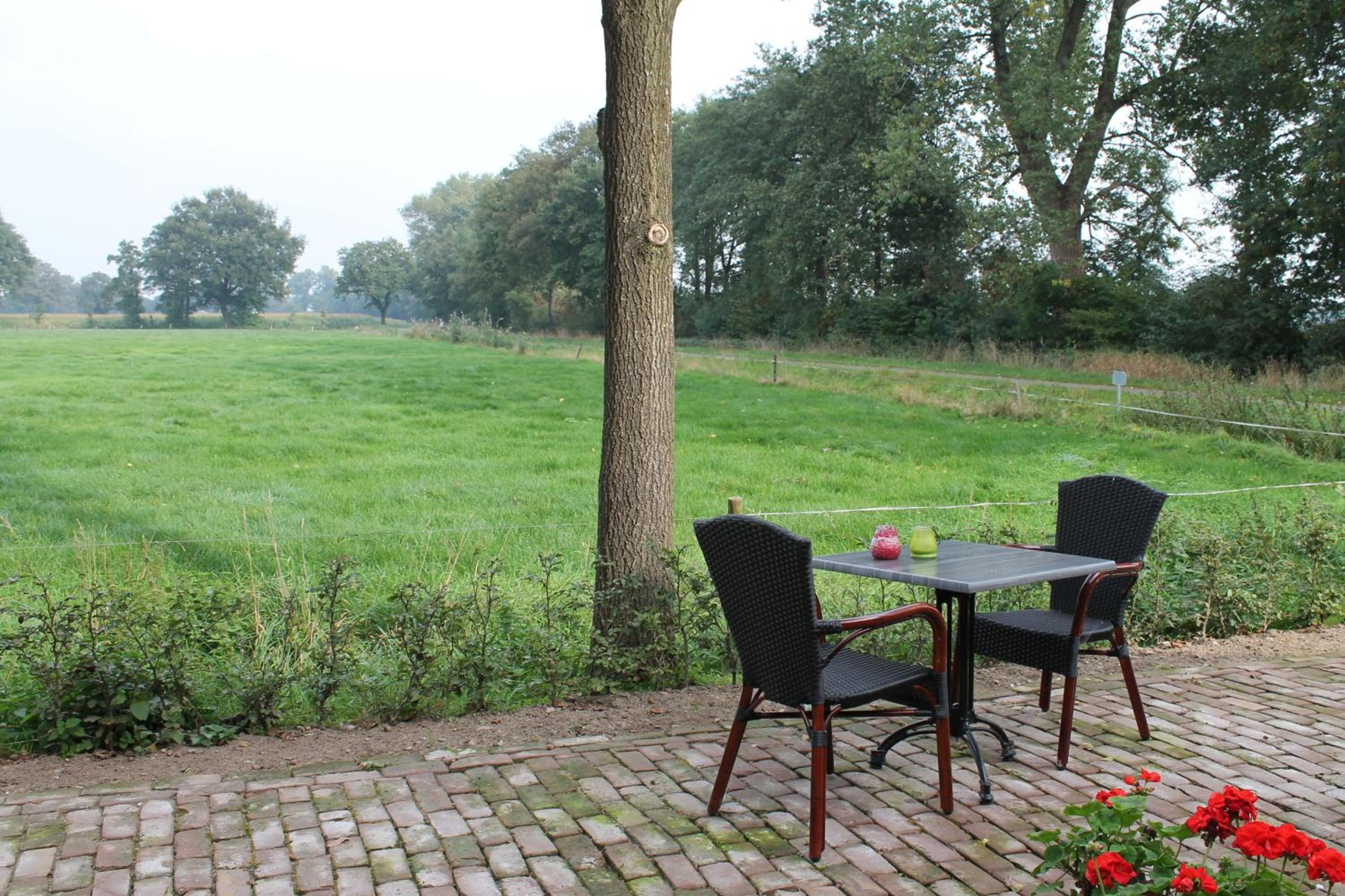 De Rheezermars en Rheeze