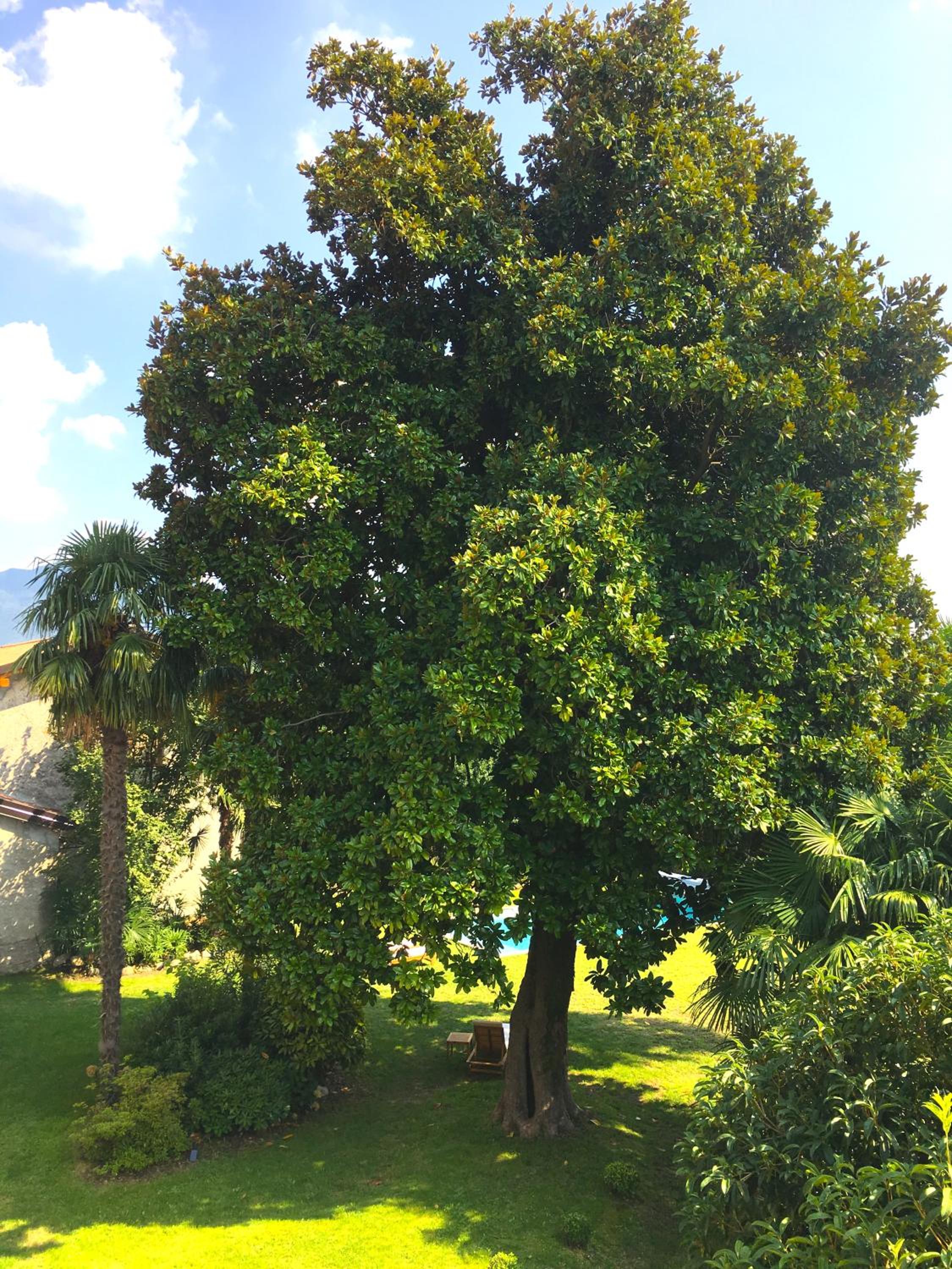 Photo 27