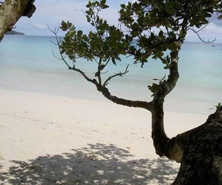 Bord Mer Villa photo 3