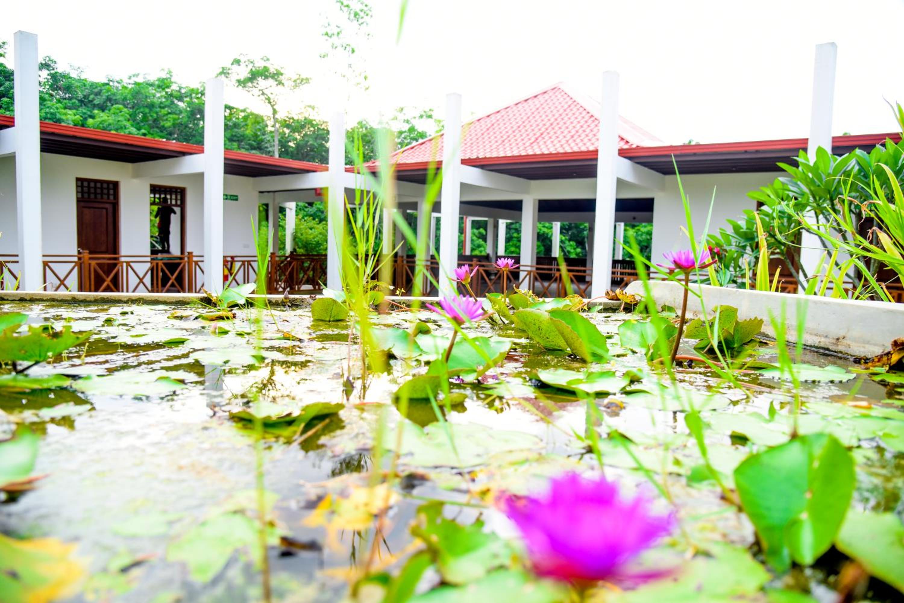 Silent Garden Ayurveda Health Resort view 5