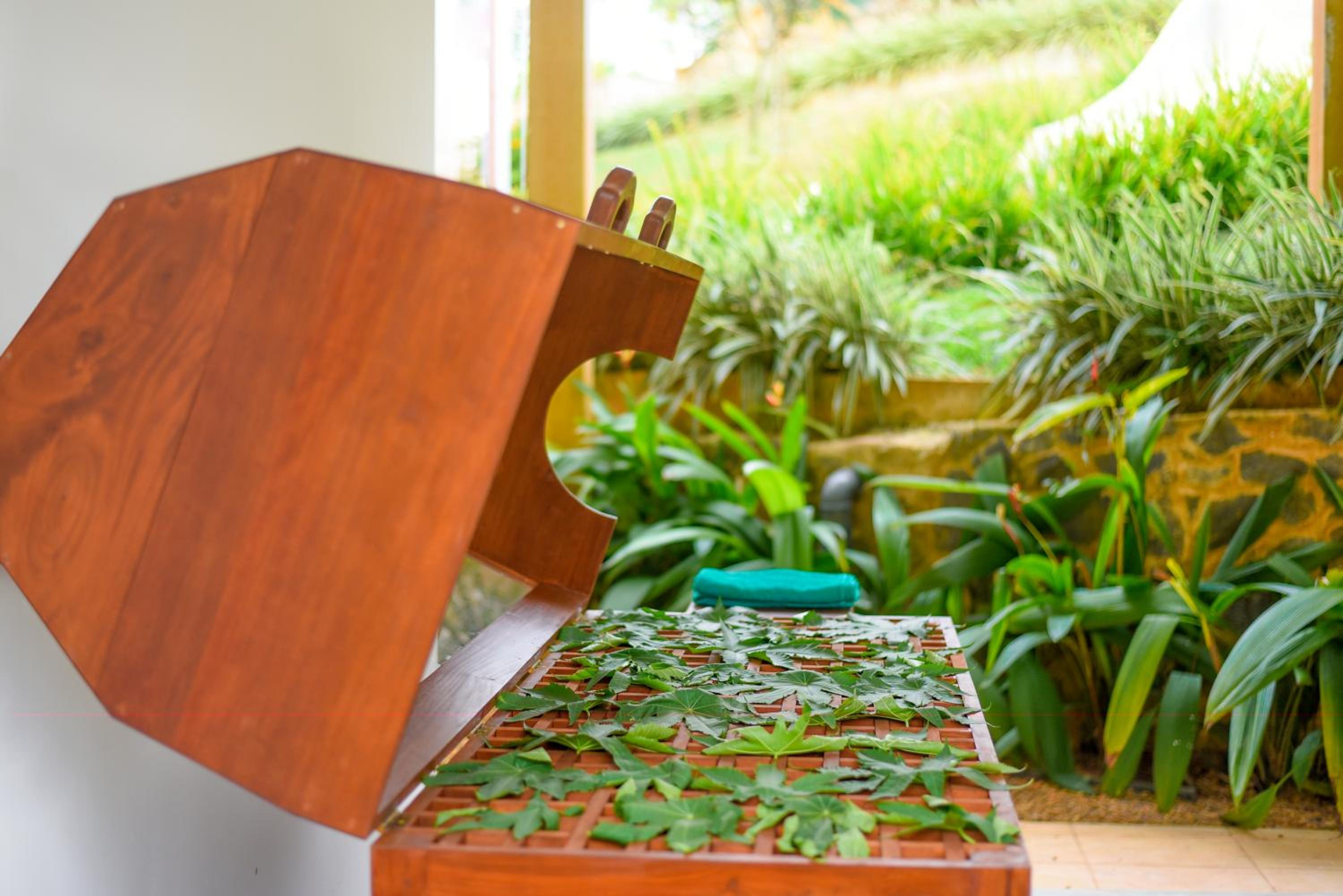 Silent Garden Ayurveda Health Resort view 4