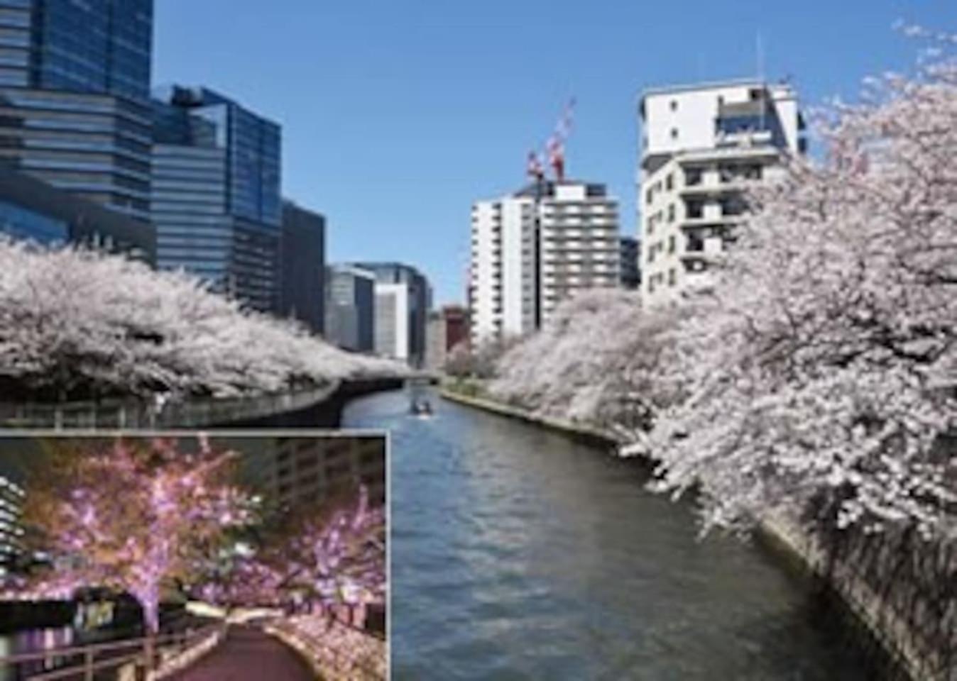 Julian home Shinagawa 5 mins Shibuya 7 mins