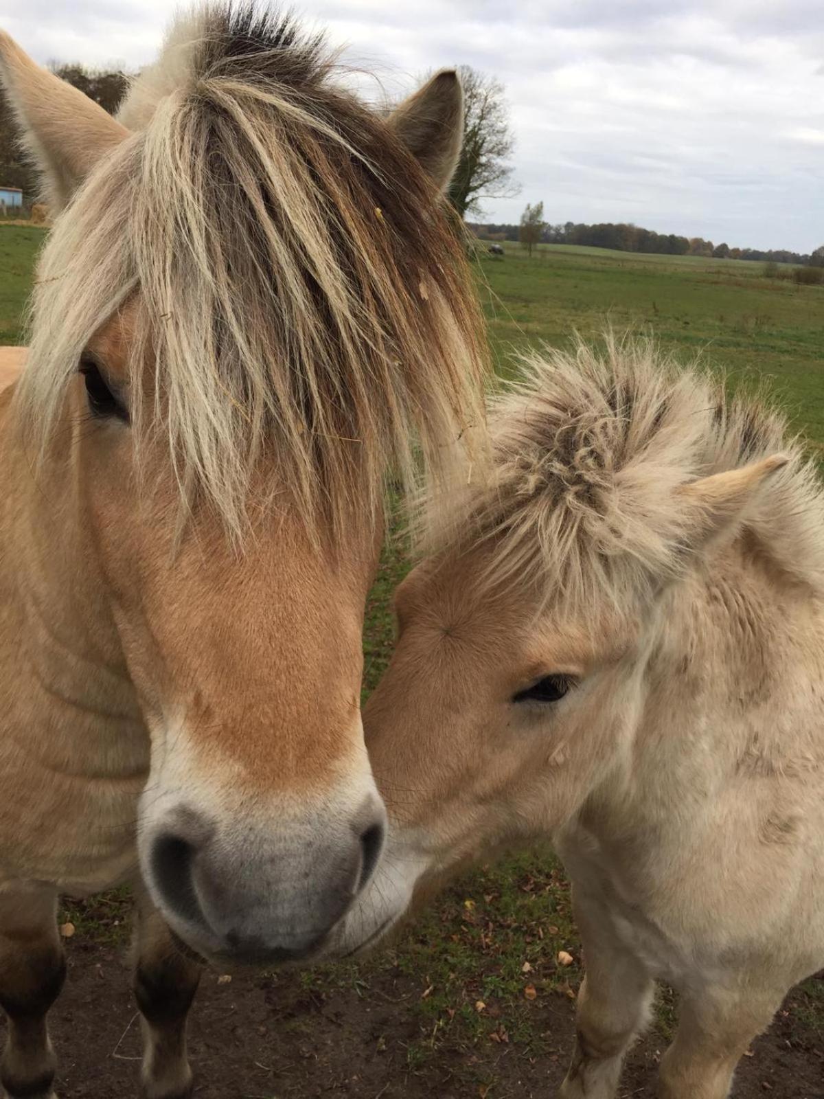 other