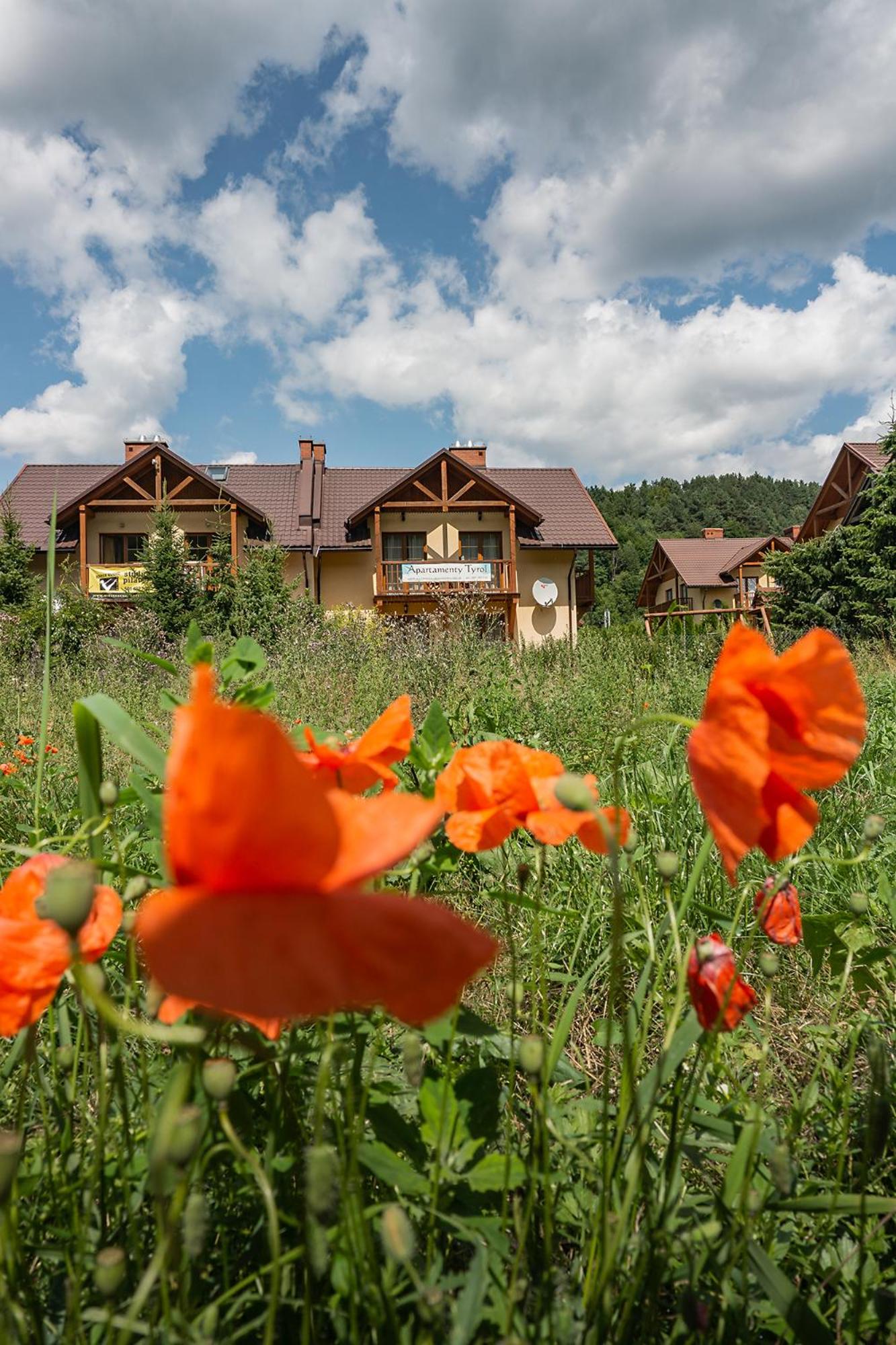 Apartamenty Tyrol view 3