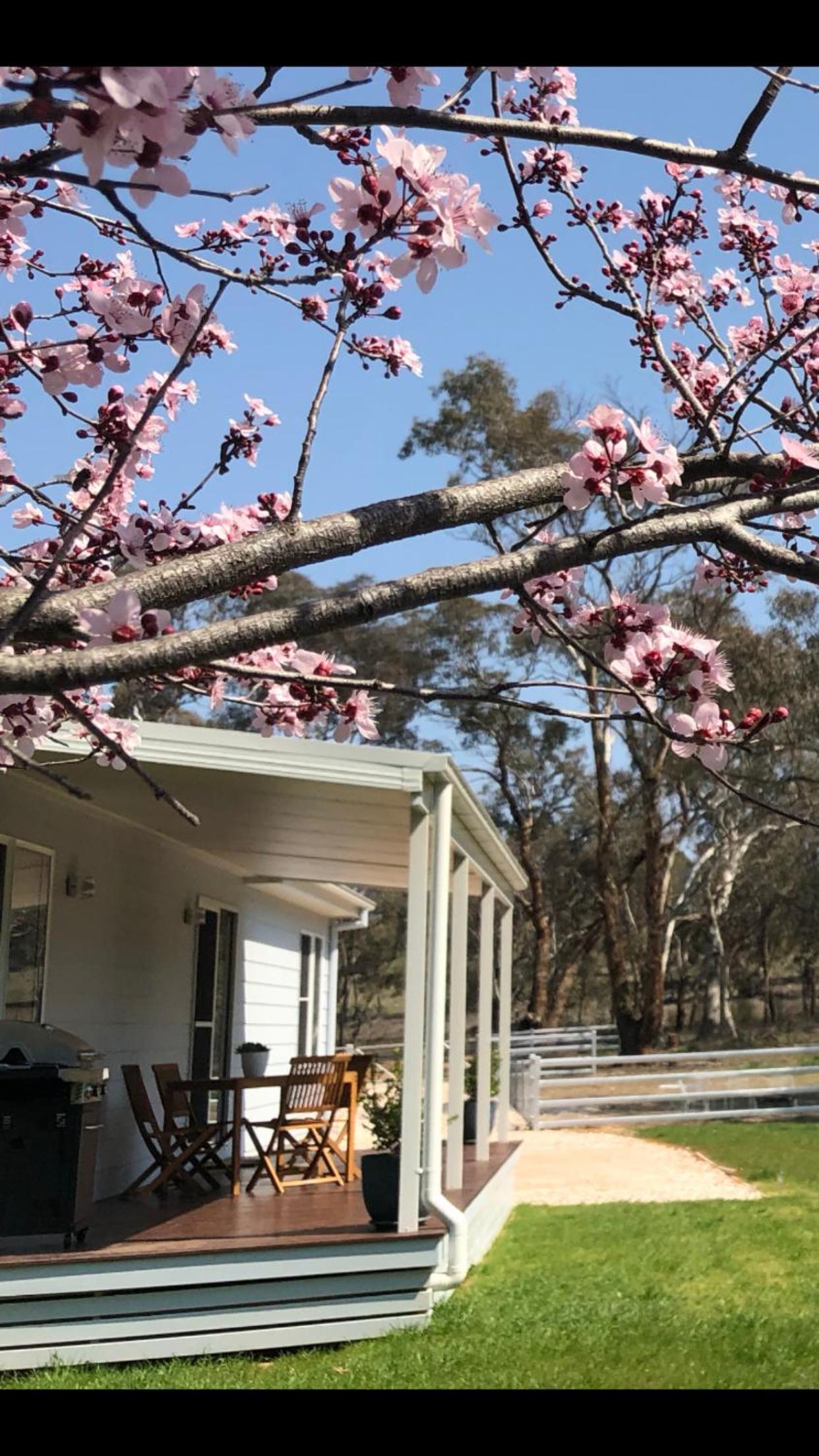 Rosewood Cottage Mudgee