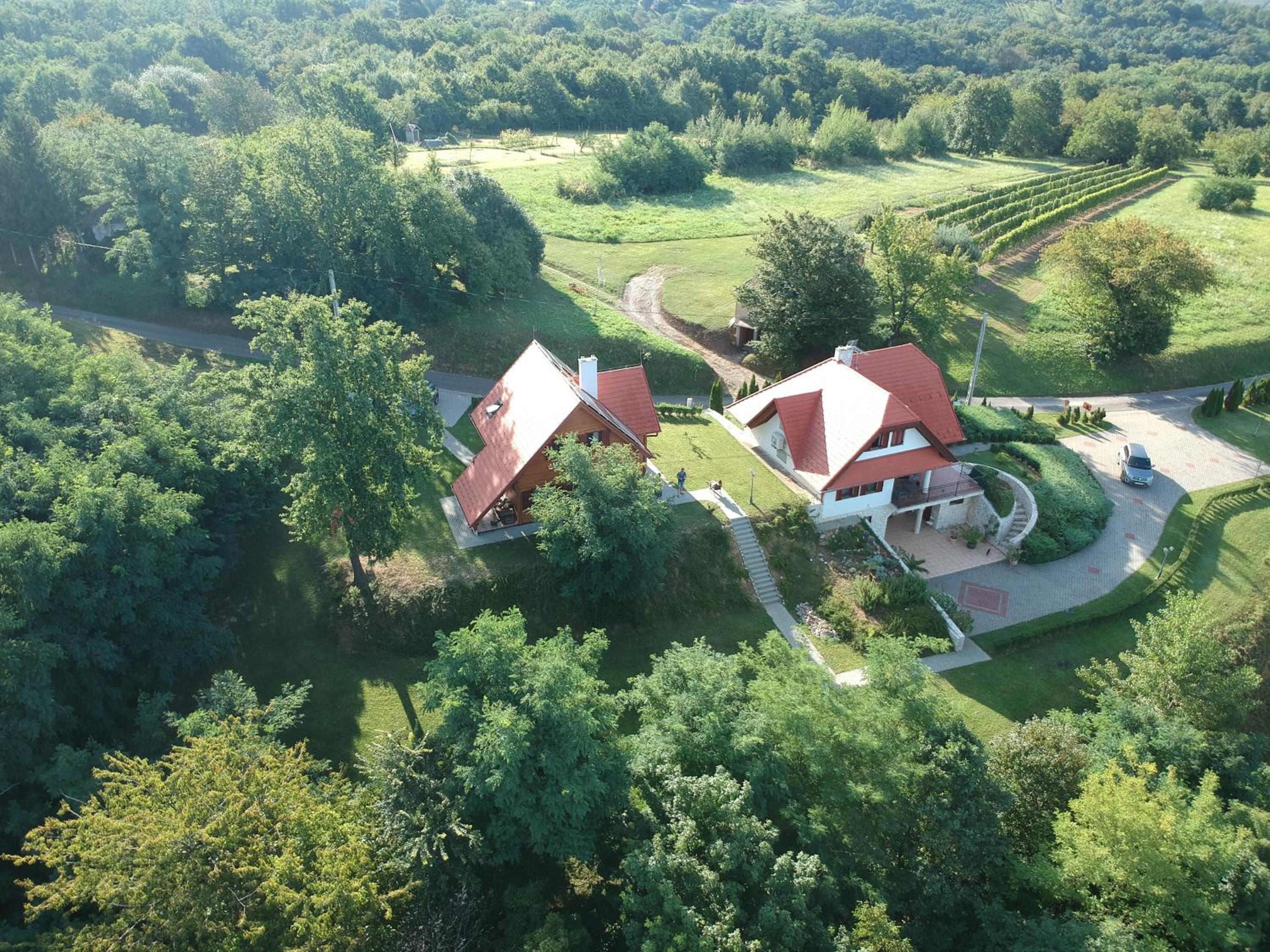 Böjti Pince view 3