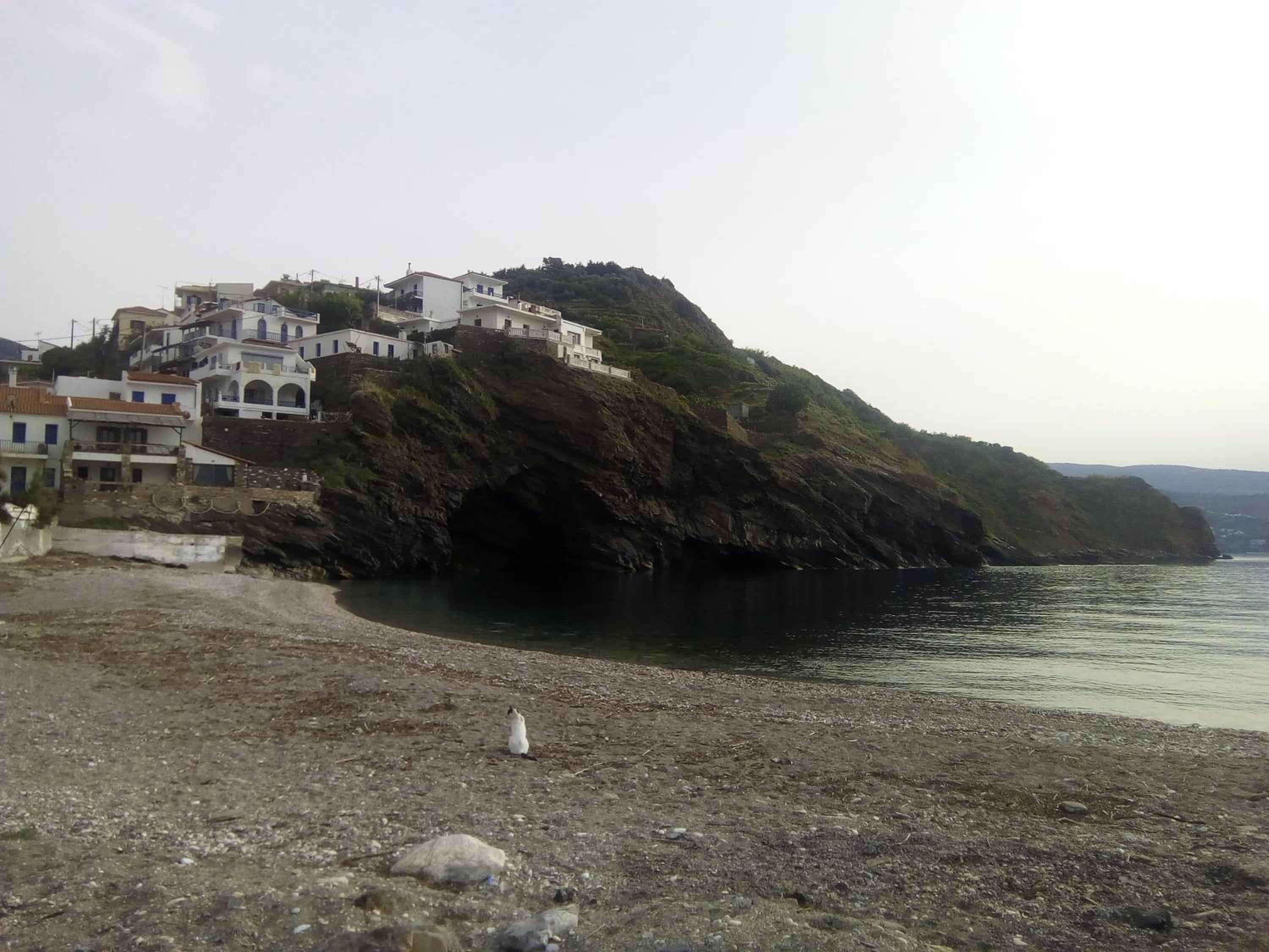 Photo 16