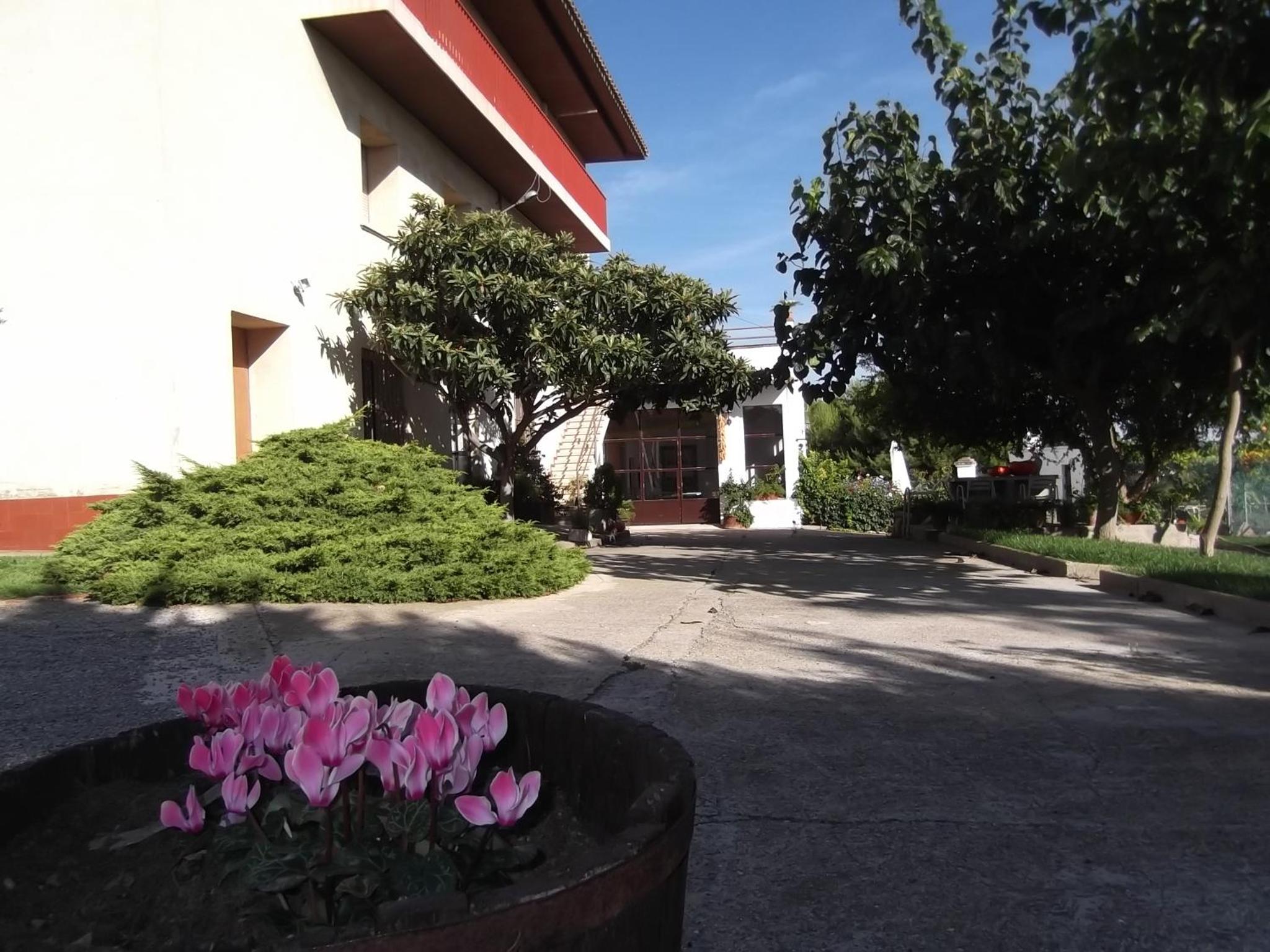 Photo 20