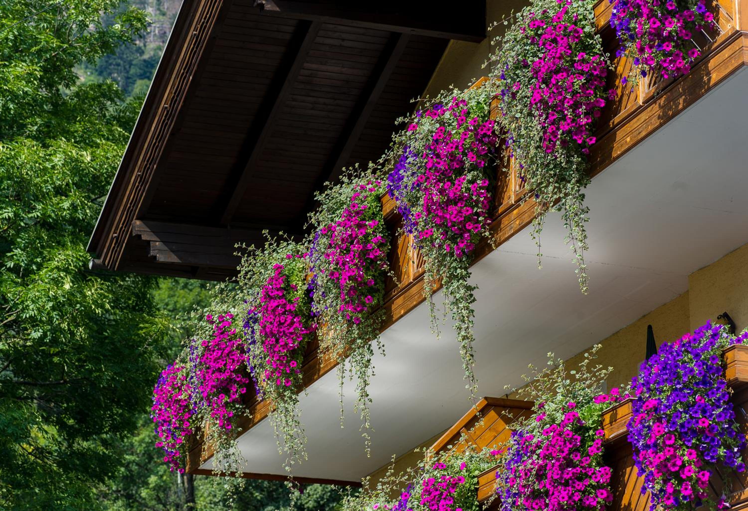 Pension Appartements Kirchenwirt