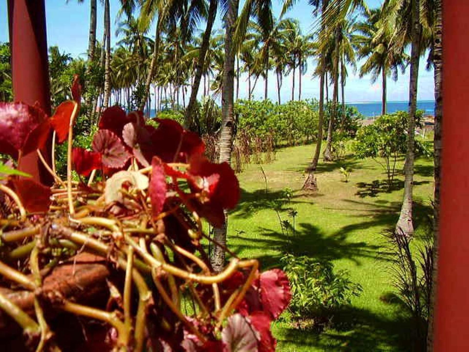 SomeWhere Else Boutique Resort