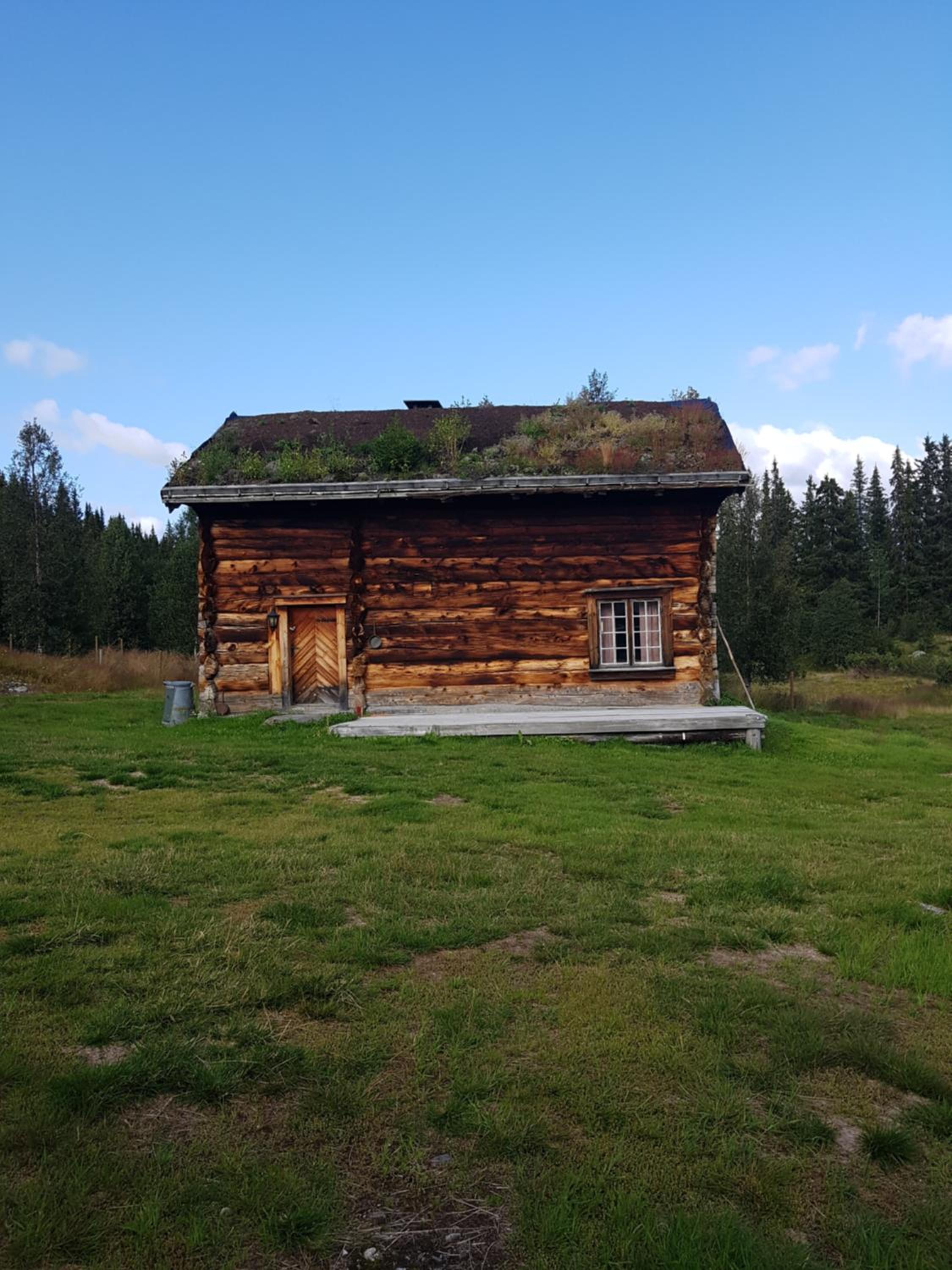 Photo 18