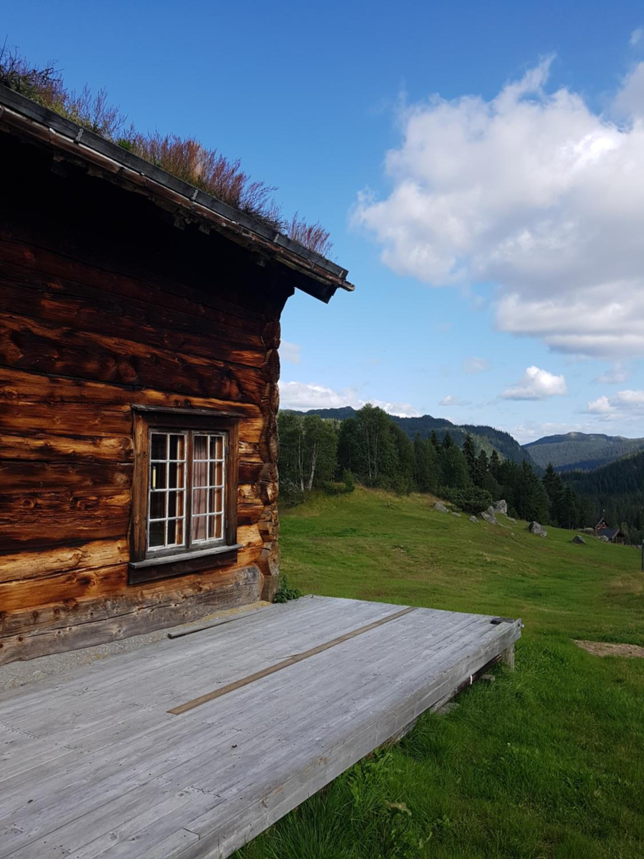 Photo 19