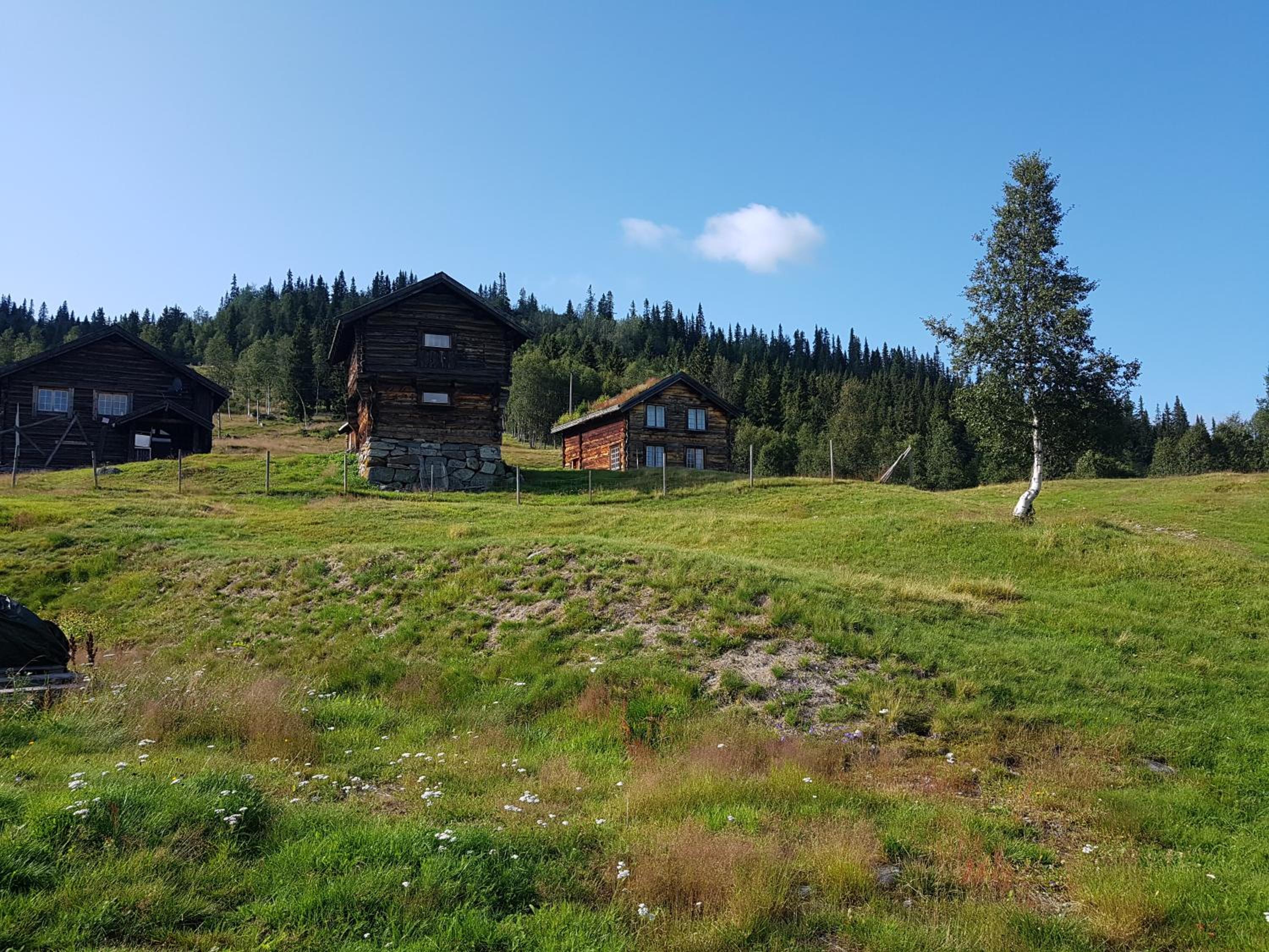 Photo 23