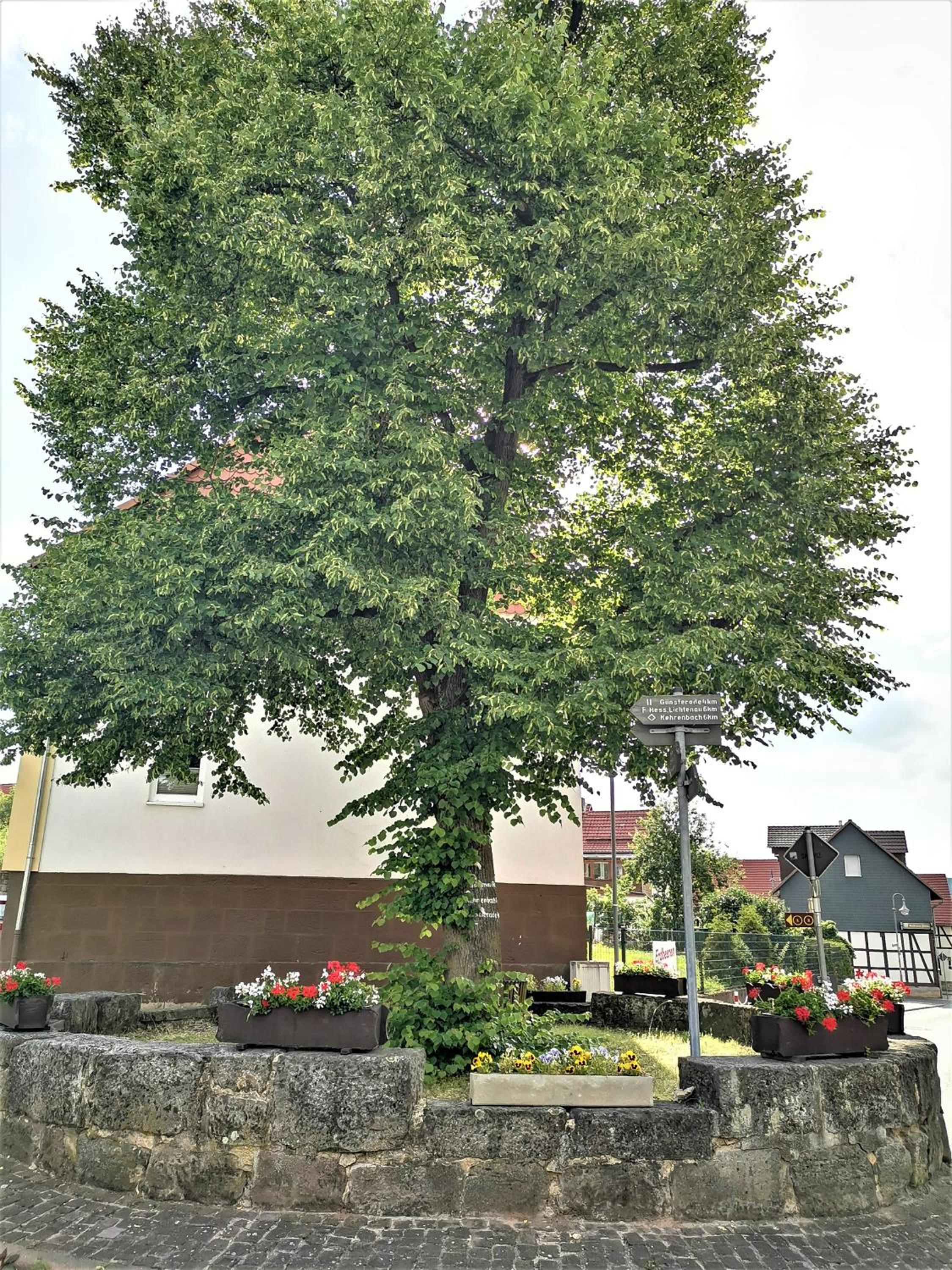 Schönes Ferienhaus im Herzen von Quentel view 5