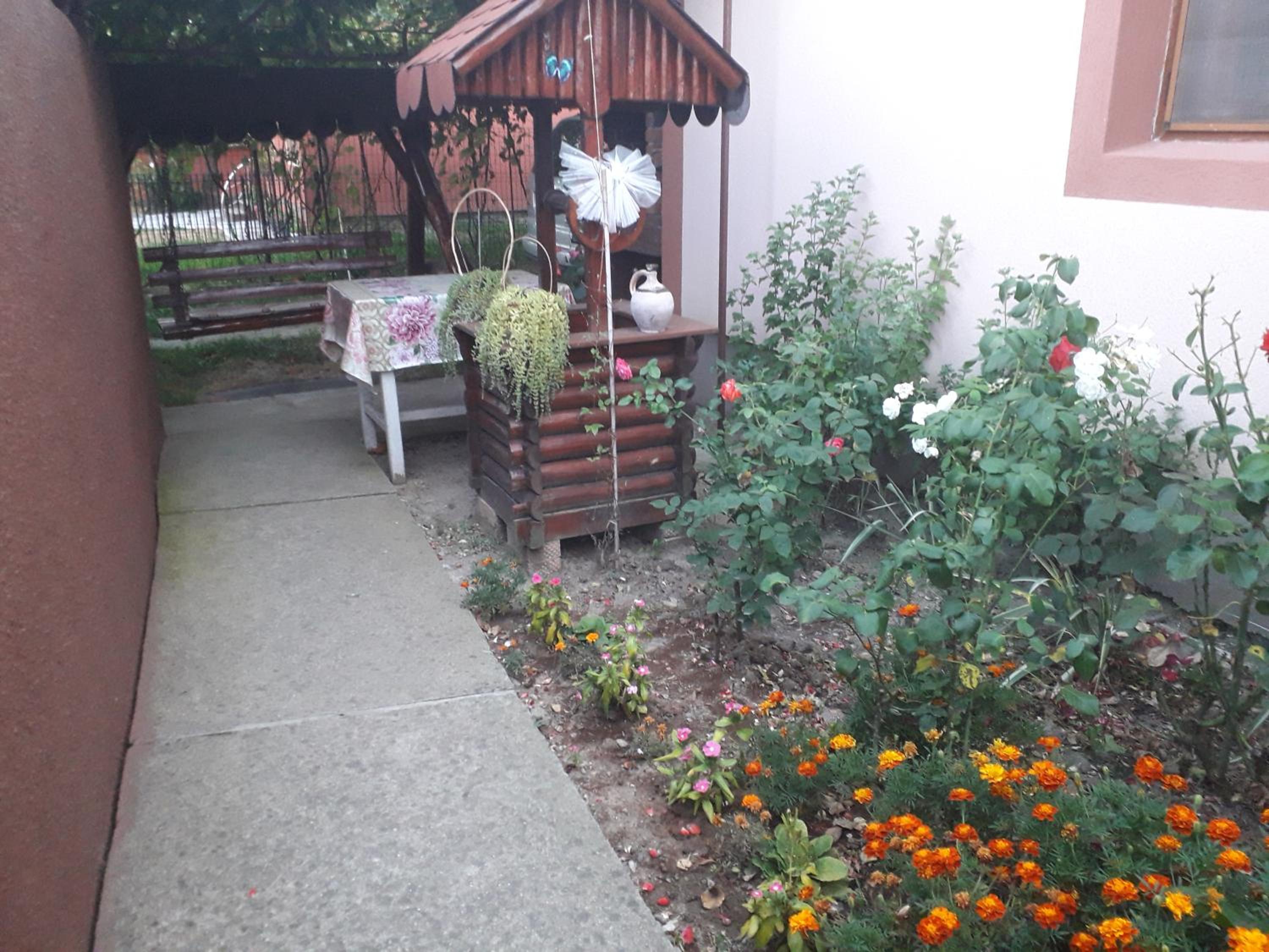 Photo 51
