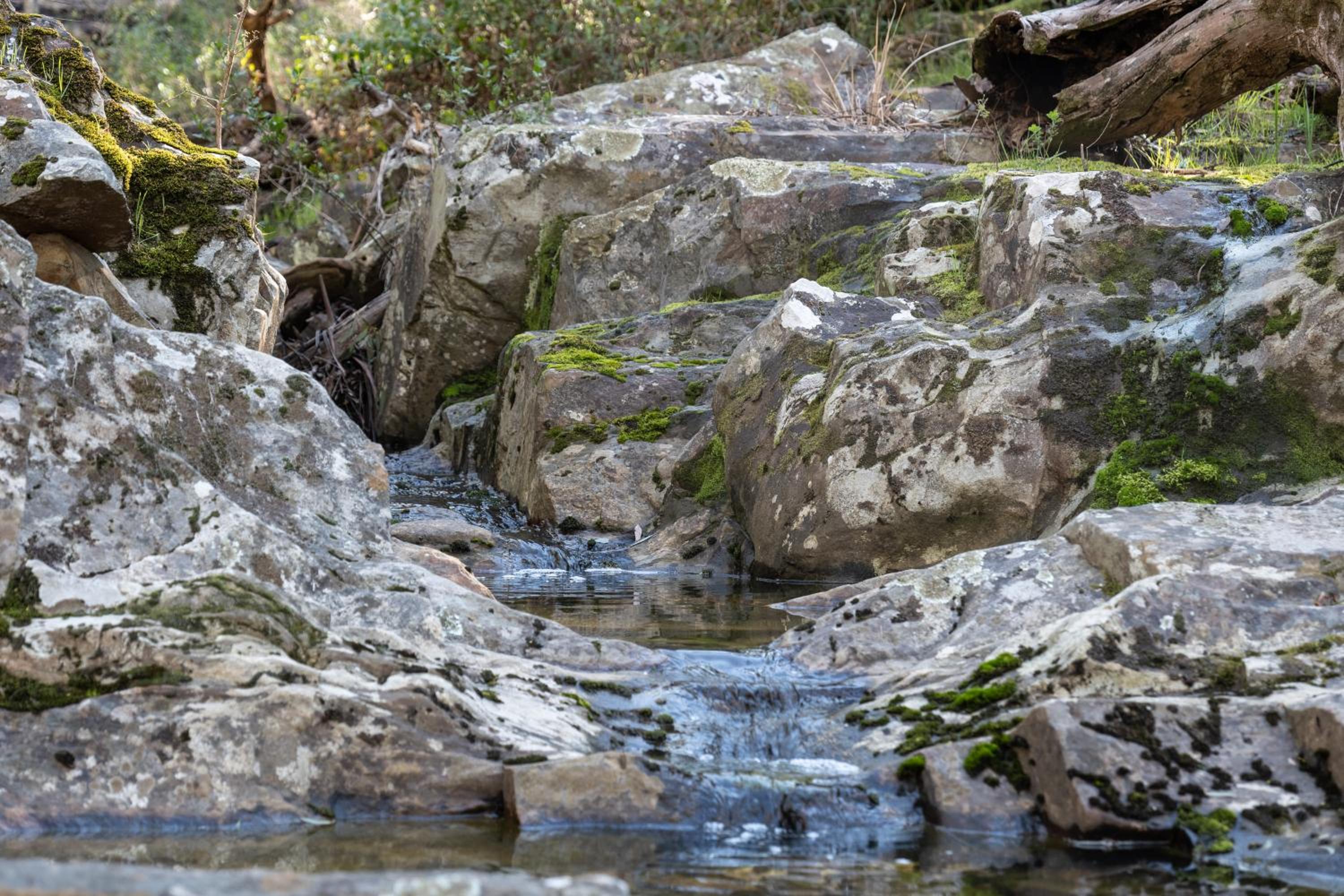 Arinya Retreat Daylesford