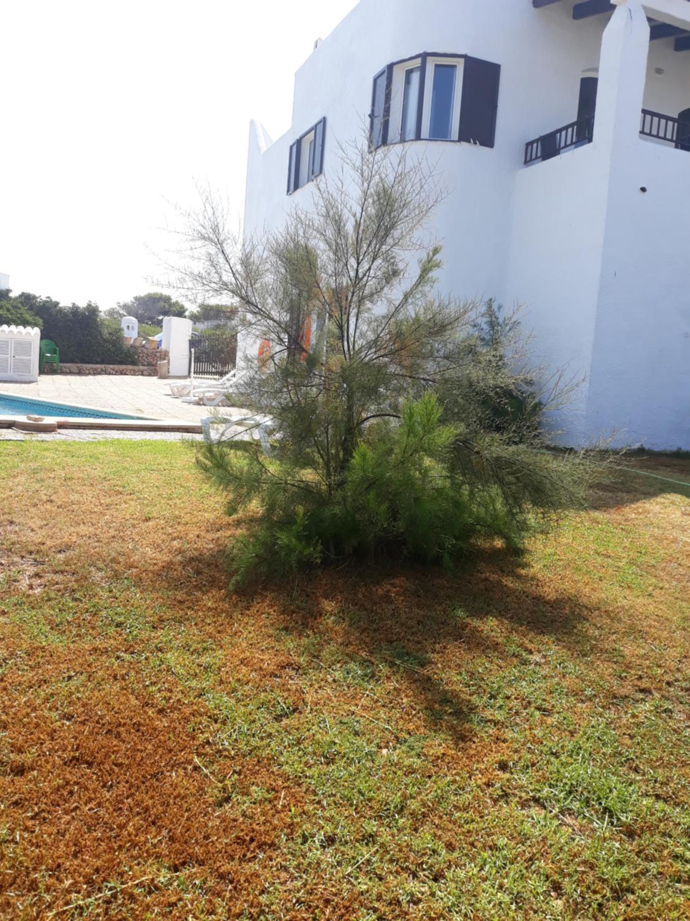 Rocamar 2 view 5