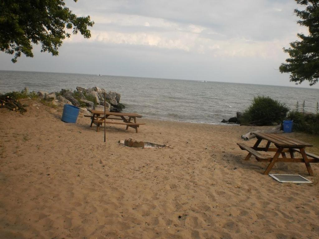 Cedar Island Xanadu