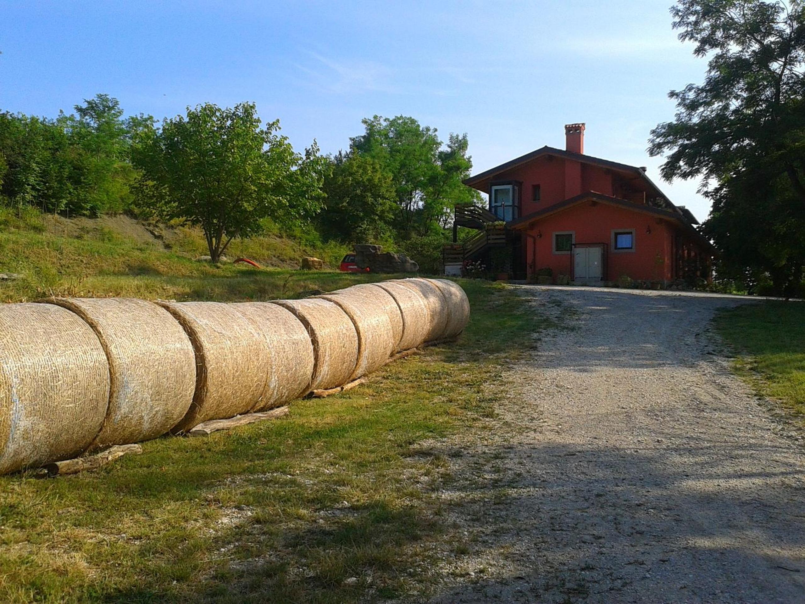 Photo 41