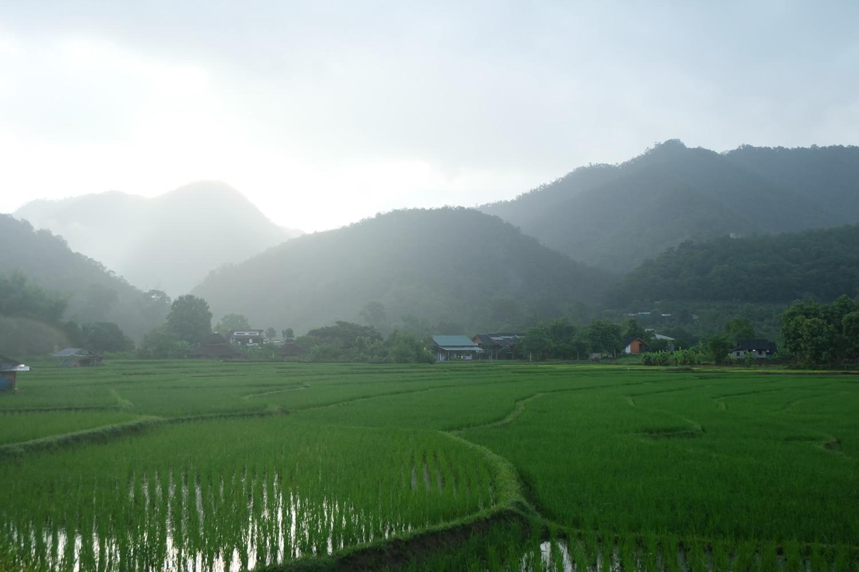 Farmstay at Pai